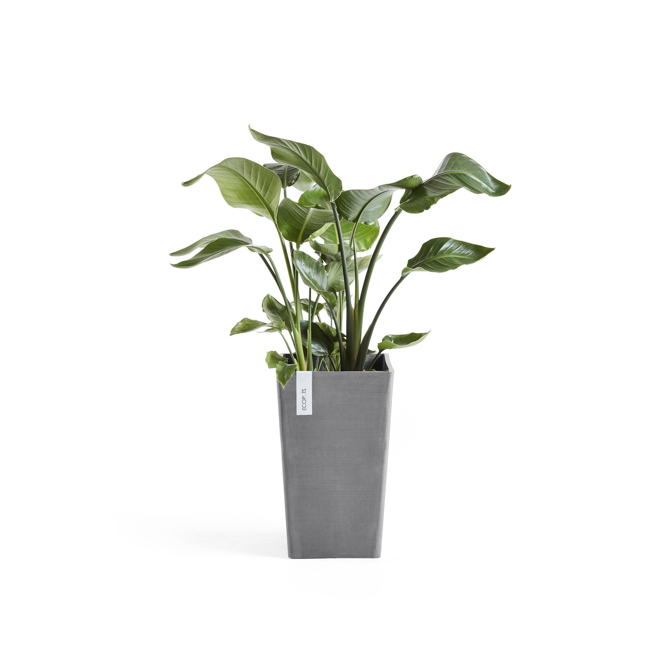 ECOPOTS Blumentopf "Rotterdam", BxTxH: 30x30x50 cm günstig online kaufen