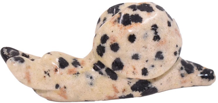 Schnecke«, Dalmatiner Tierfigur Jaspis | bestellen »Schmuck BAUR Firetti Geschenk,