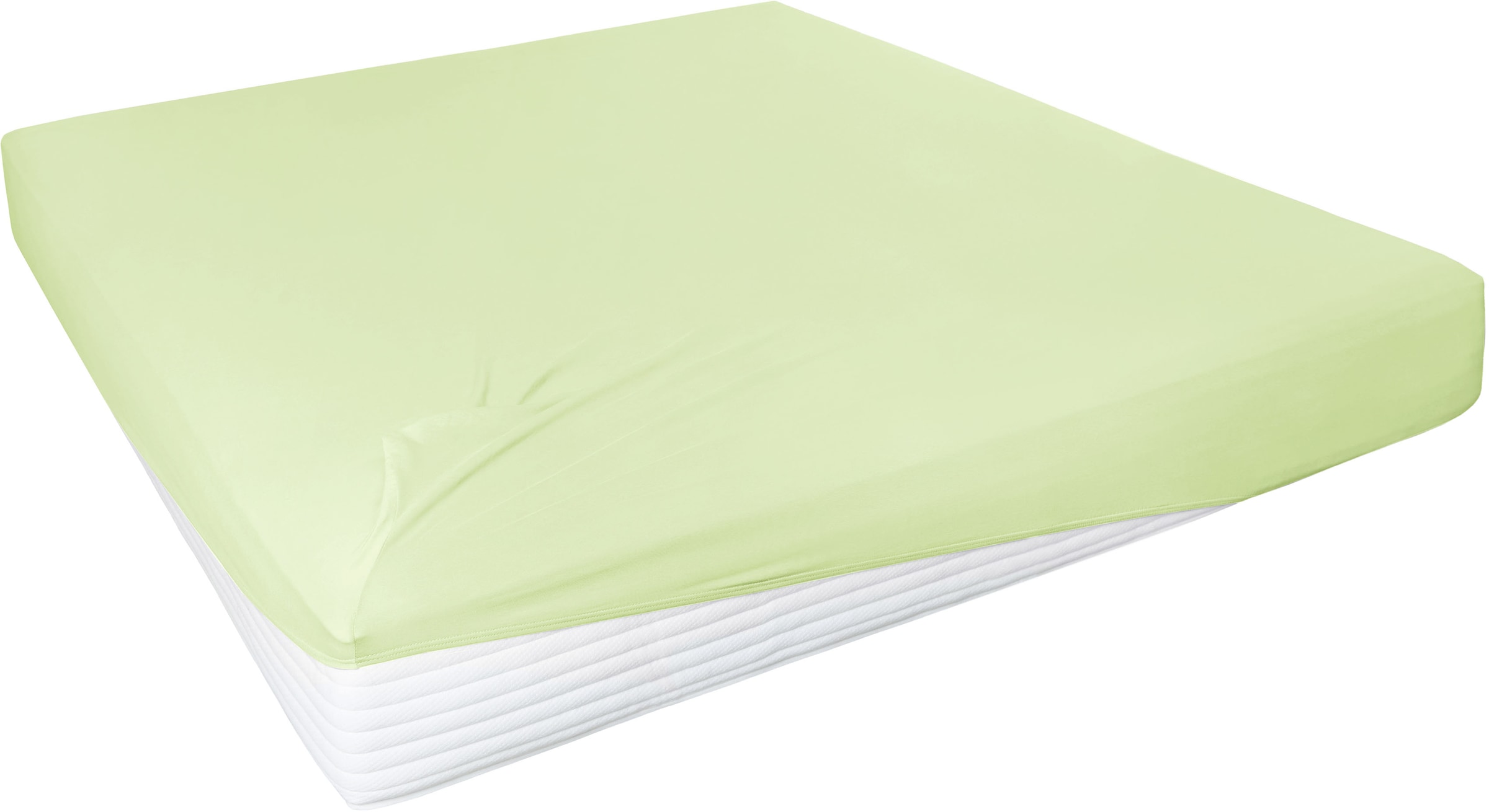 Primera Spannbettlaken »Elasthan-Feinjersey«, PREMIUM, aus 95% gekämmter Baumwolle und 5% Elasthan, bis 28 cm Höhe