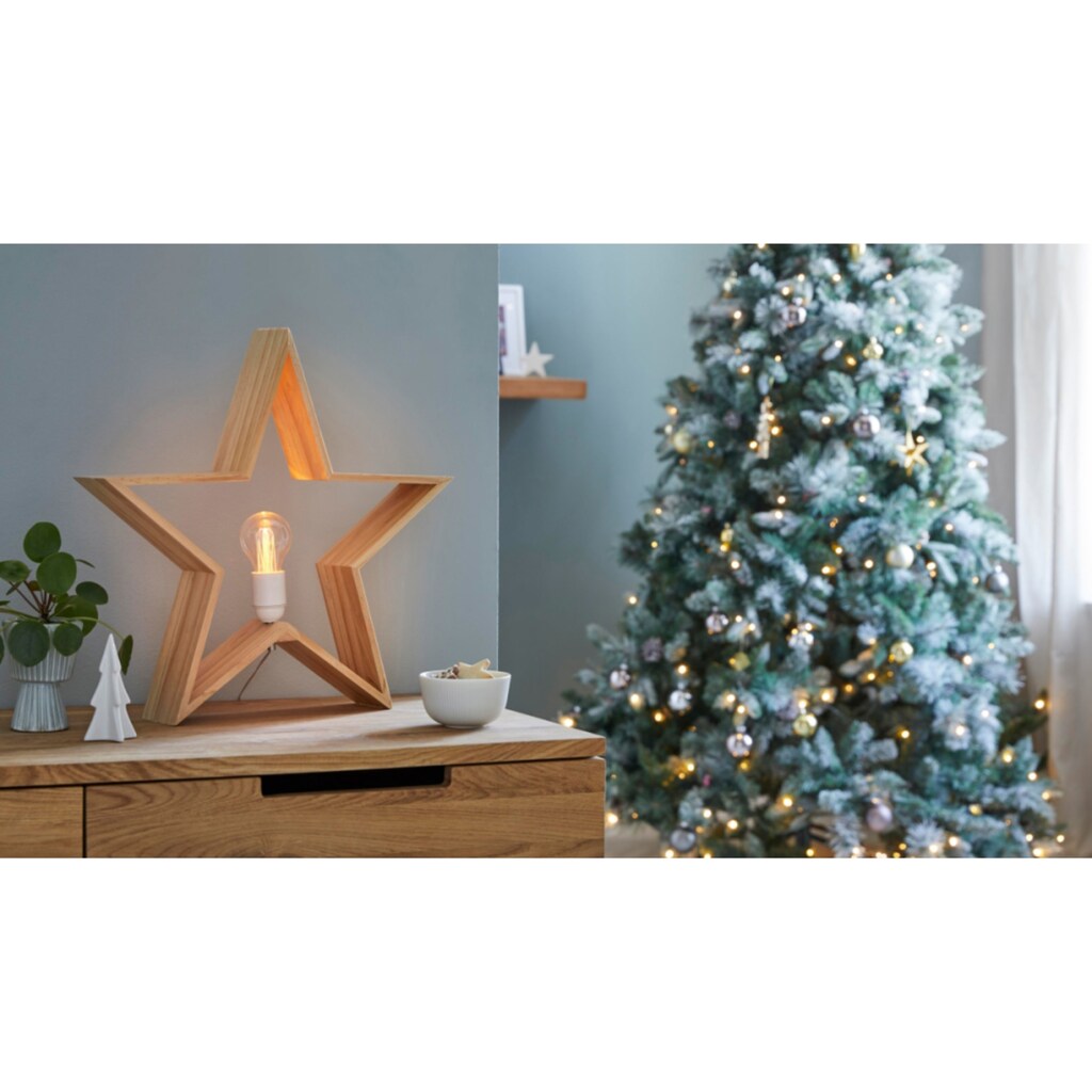 Schneider LED Stern »Weihnachtsstern, Leuchte Sternenlicht, Weihnachtsdeko«