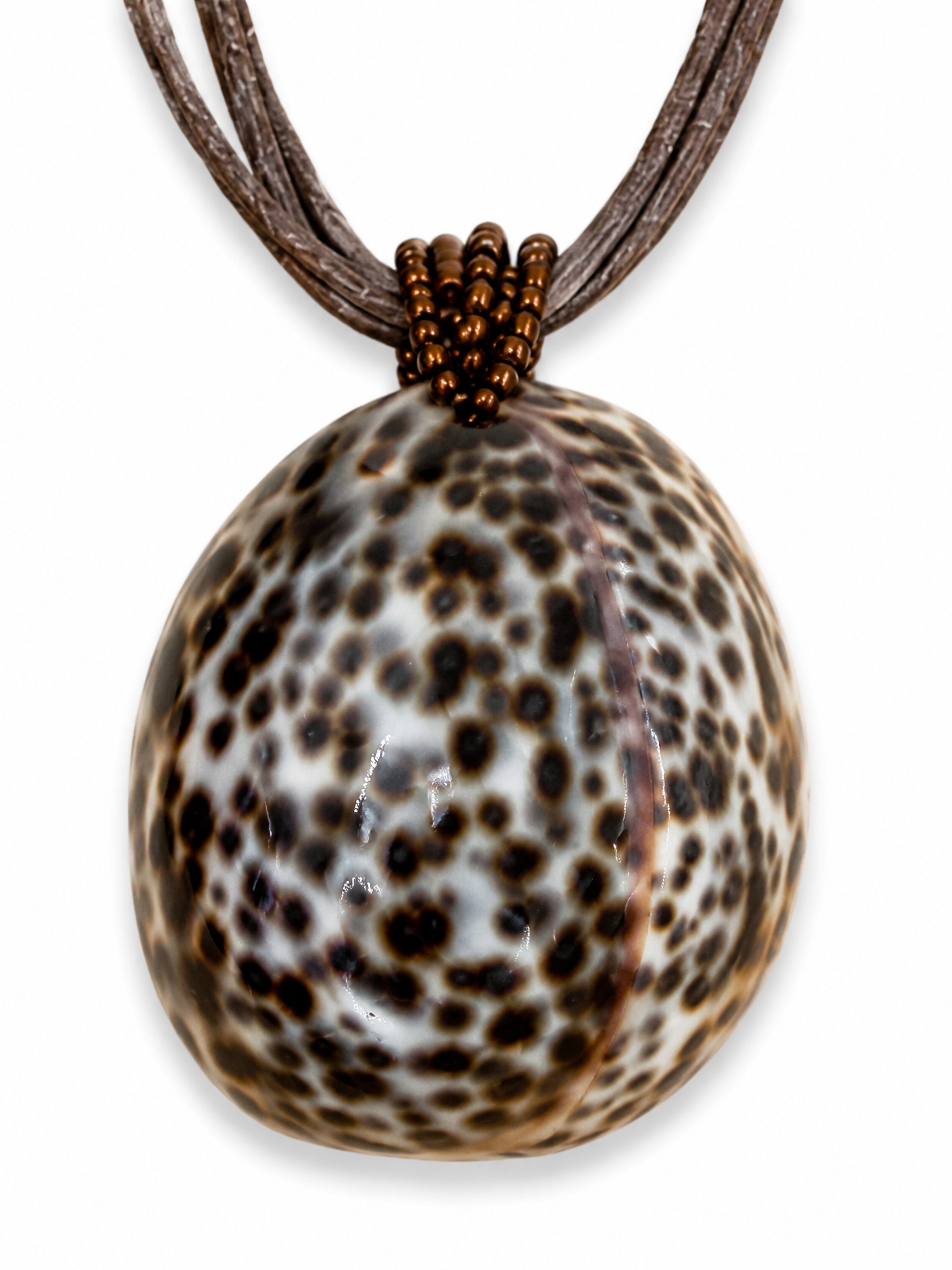 COLLEZIONE ALESSANDRO Kette mit Anhänger »Cowrie« echte XL-Muschel