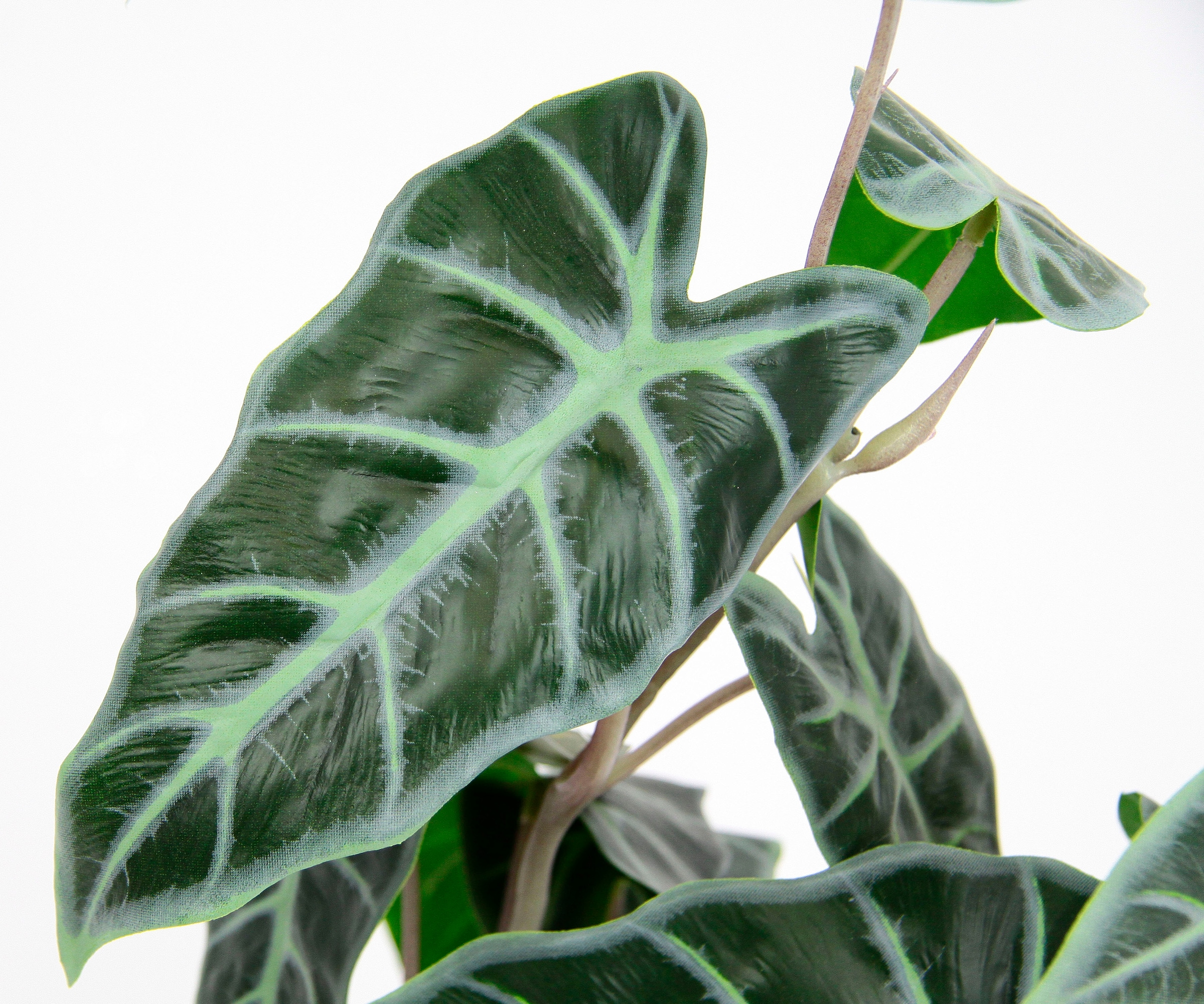 I.GE.A. Kunstpflanze "Calathea", Kunst-Pflanze Seidenblumen ZimmerpflanzeZe günstig online kaufen