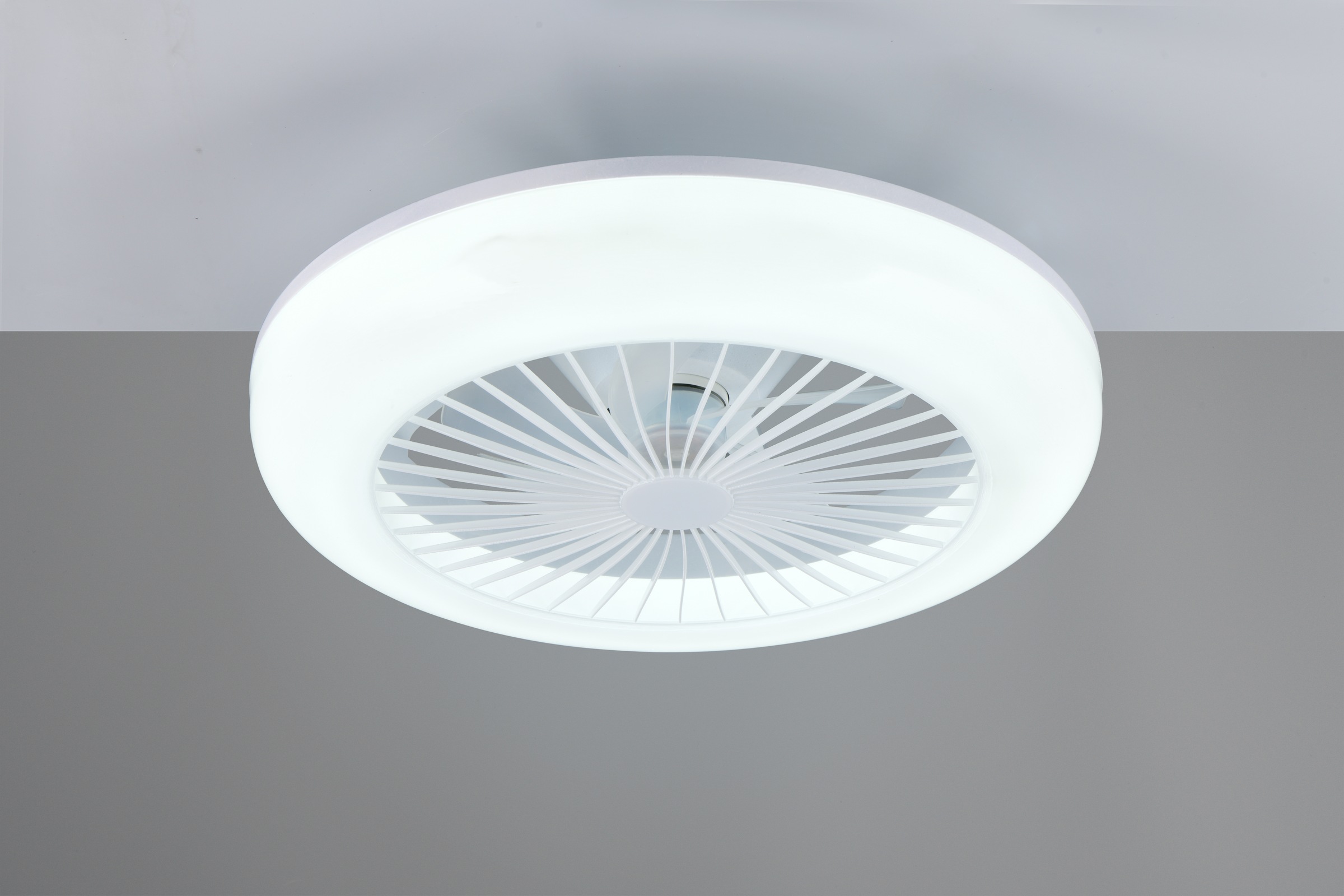 REALITY Leuchten LED Deckenleuchte »MORA mit Ventilator, Deckenventilator mit Licht inkl Fernbedienung«, 1 flammig, Leuchtmittel LED-Board | LED fest integriert, 3 Geschwindigkeiten Timer Vor- & Rücklauf LED dimmbar CCT Nachtlicht