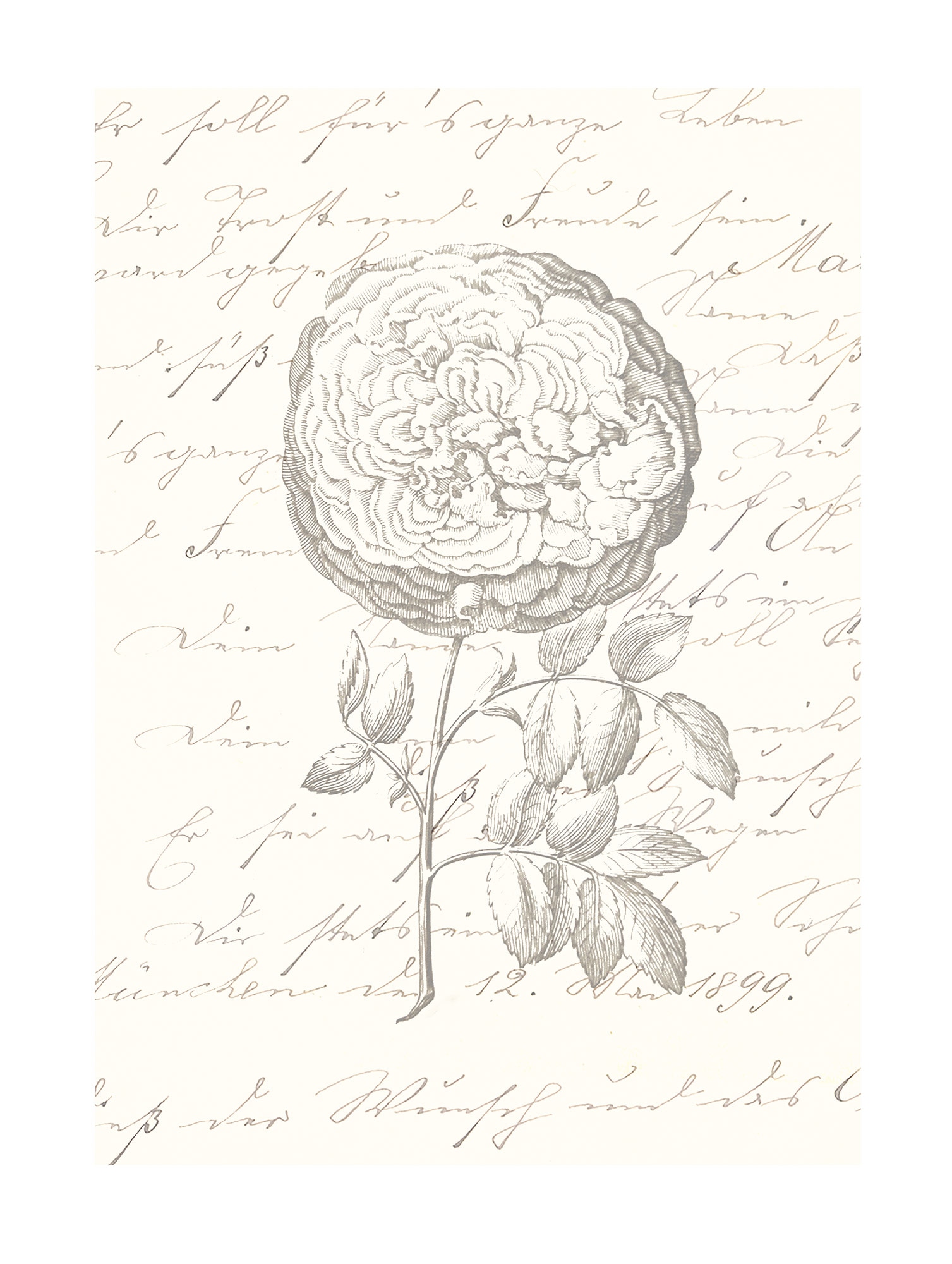 Komar Bild "Ma Chérie" Natur 1 Stk. tlg. Wandbild zur Dekoration - ohne Rah günstig online kaufen