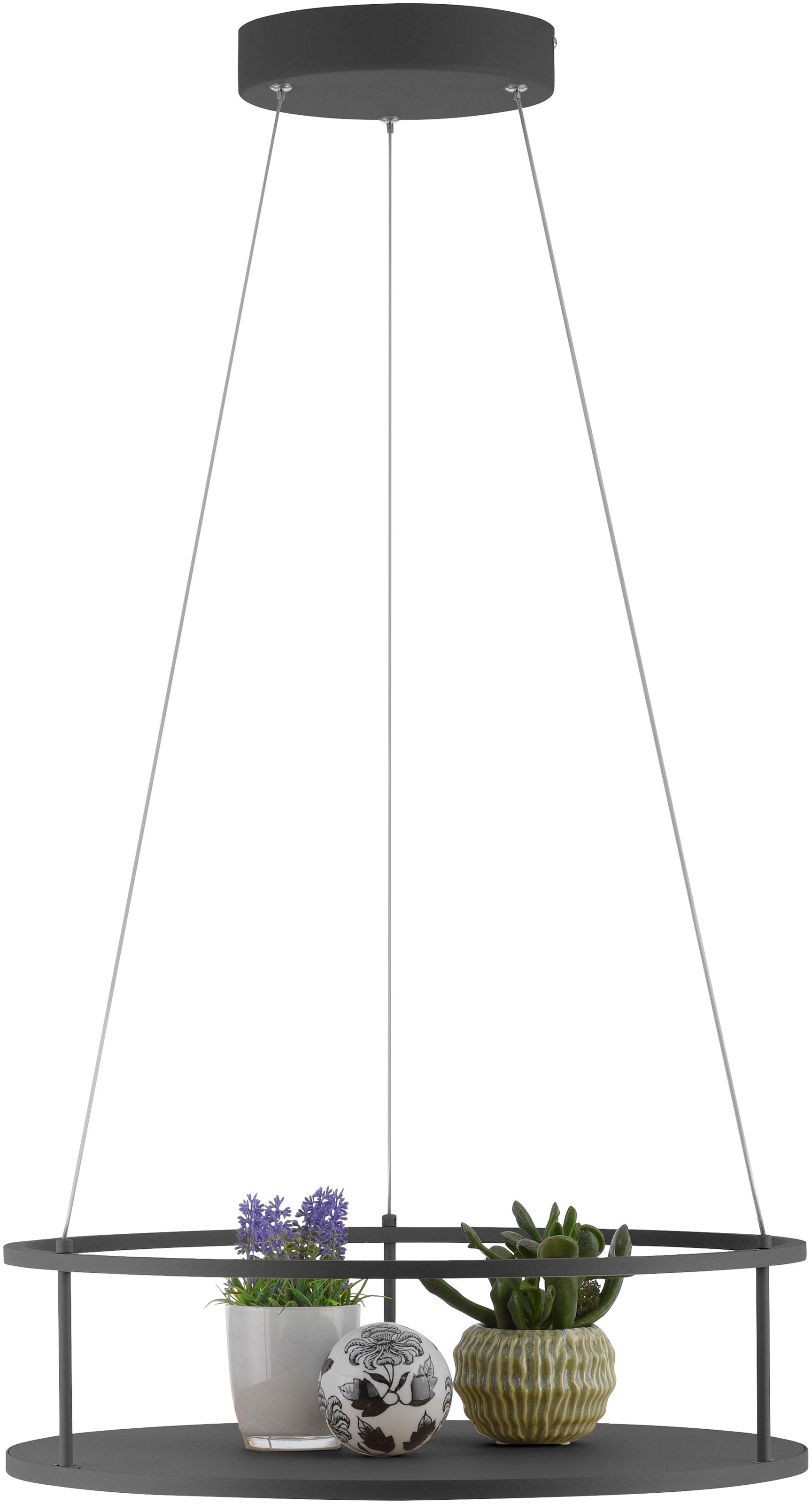 Paul Neuhaus LED Pendelleuchte »CONTURA« LED-Board 1 Stk. Warmweiß Touchdimmer, separat schaltbar, Memoryfunktion, Deko-Ablagefläche