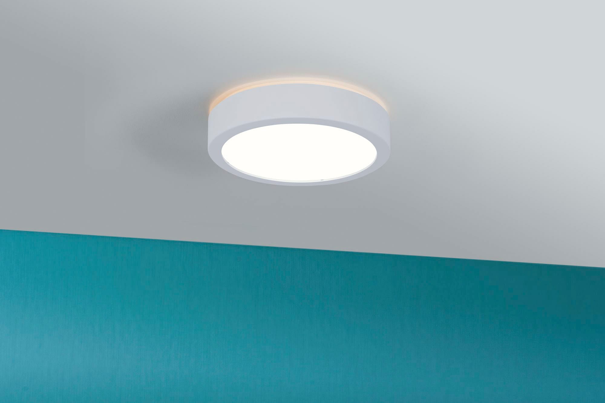 Paulmann LED Deckenleuchte »Aviar«, 1 flammig