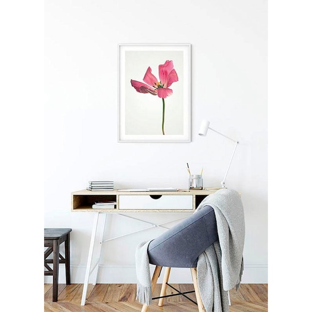 Komar Poster »Tulip«, Blumen, (1 St.), Kinderzimmer, Schlafzimmer,  Wohnzimmer | BAUR