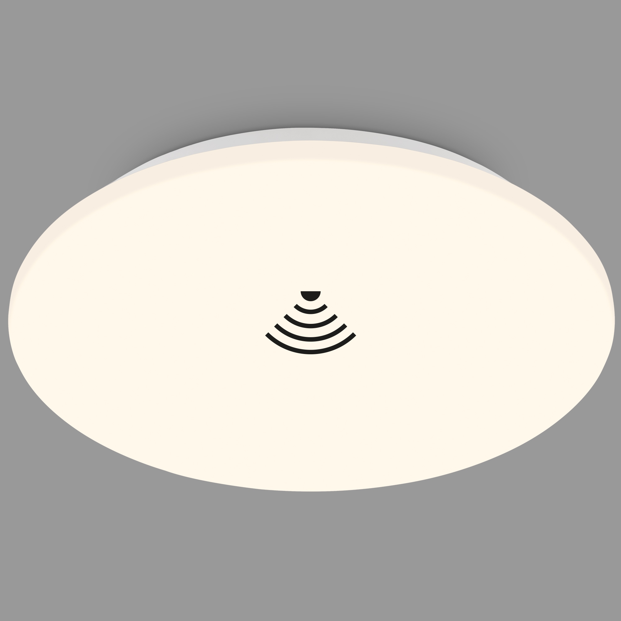 Briloner Leuchten Deckenleuchte »Deckenleuchte EKOS«