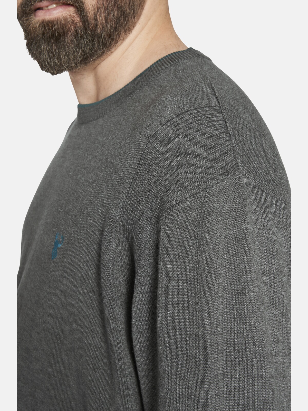 Charles Colby Rundhalspullover »Pullover EARL ARCHIE«