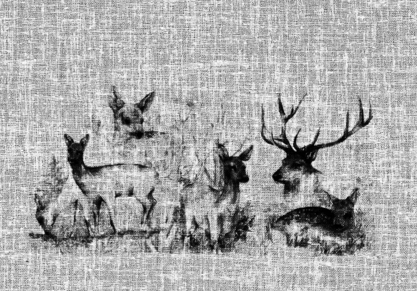 (1 | BAUR Landhaus-Look St.), - »Bambi«, ART kaufen OF Gardine DECO HOSSNER HOME