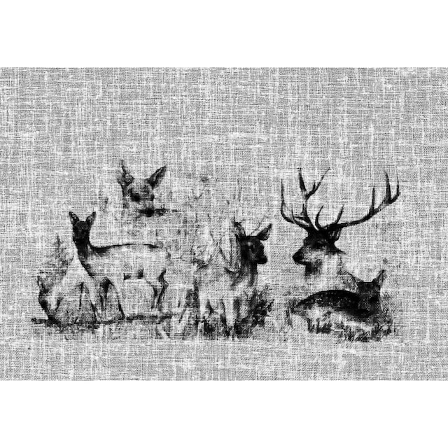 HOSSNER - ART OF HOME DECO Gardine »Bambi«, (1 St.), Landhaus-Look kaufen |  BAUR