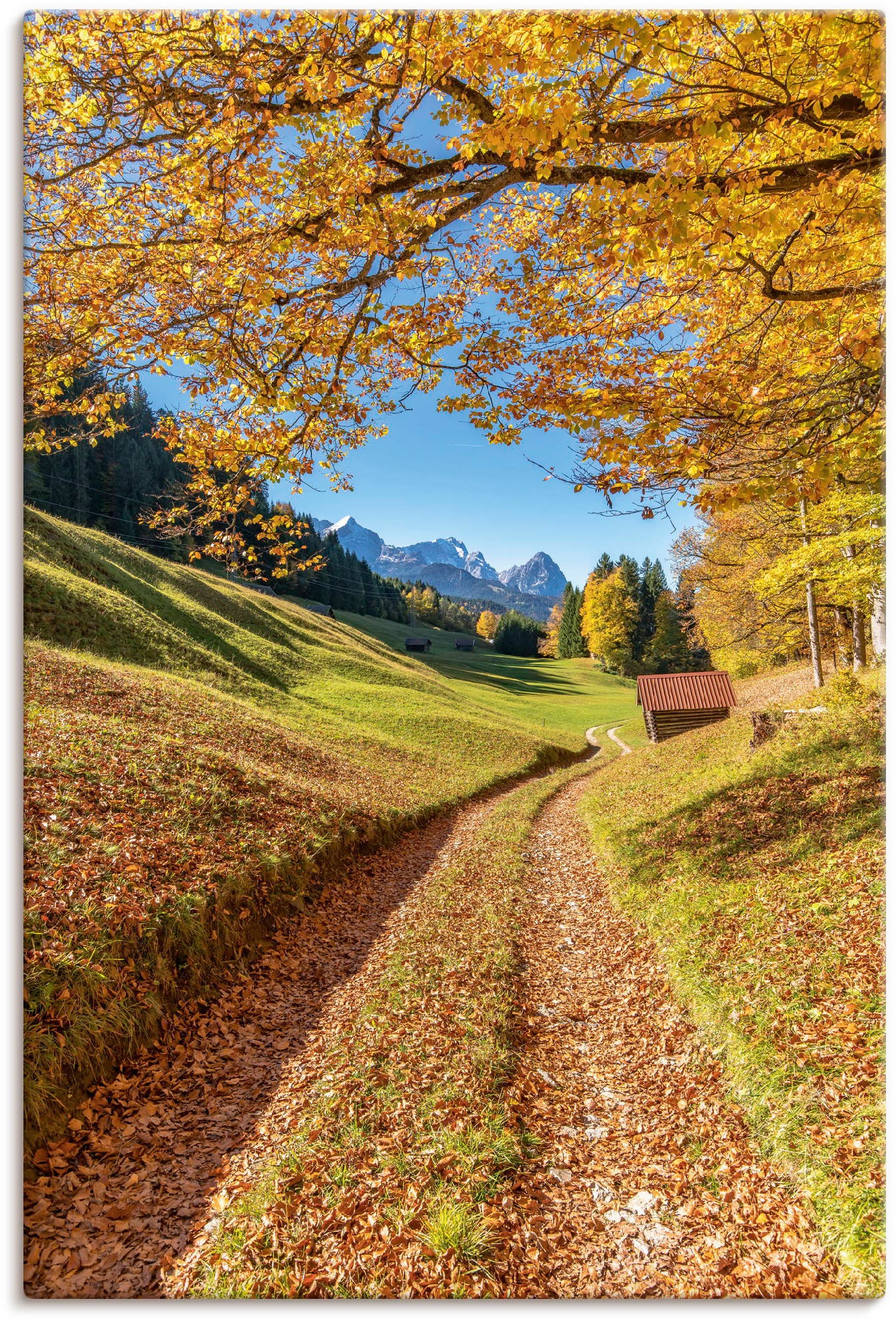 & Größen Alpenbilder, Bayern«, Berge St.), Wandaufkleber Wandbild in Alubild, (1 in Artland Leinwandbild, Poster kaufen BAUR | »Herbst als versch. oder
