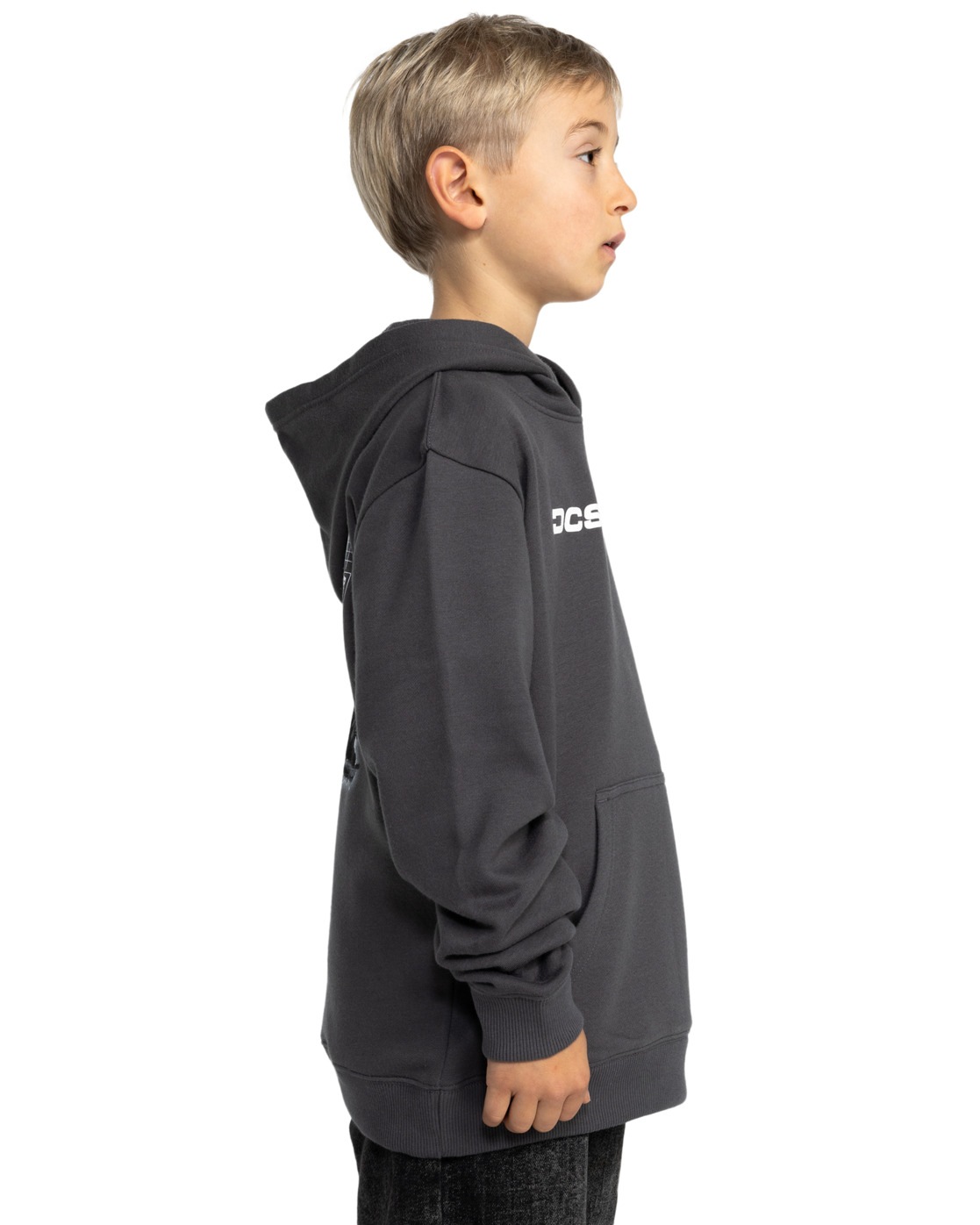 DC Shoes Hoodie »Whereabouts«
