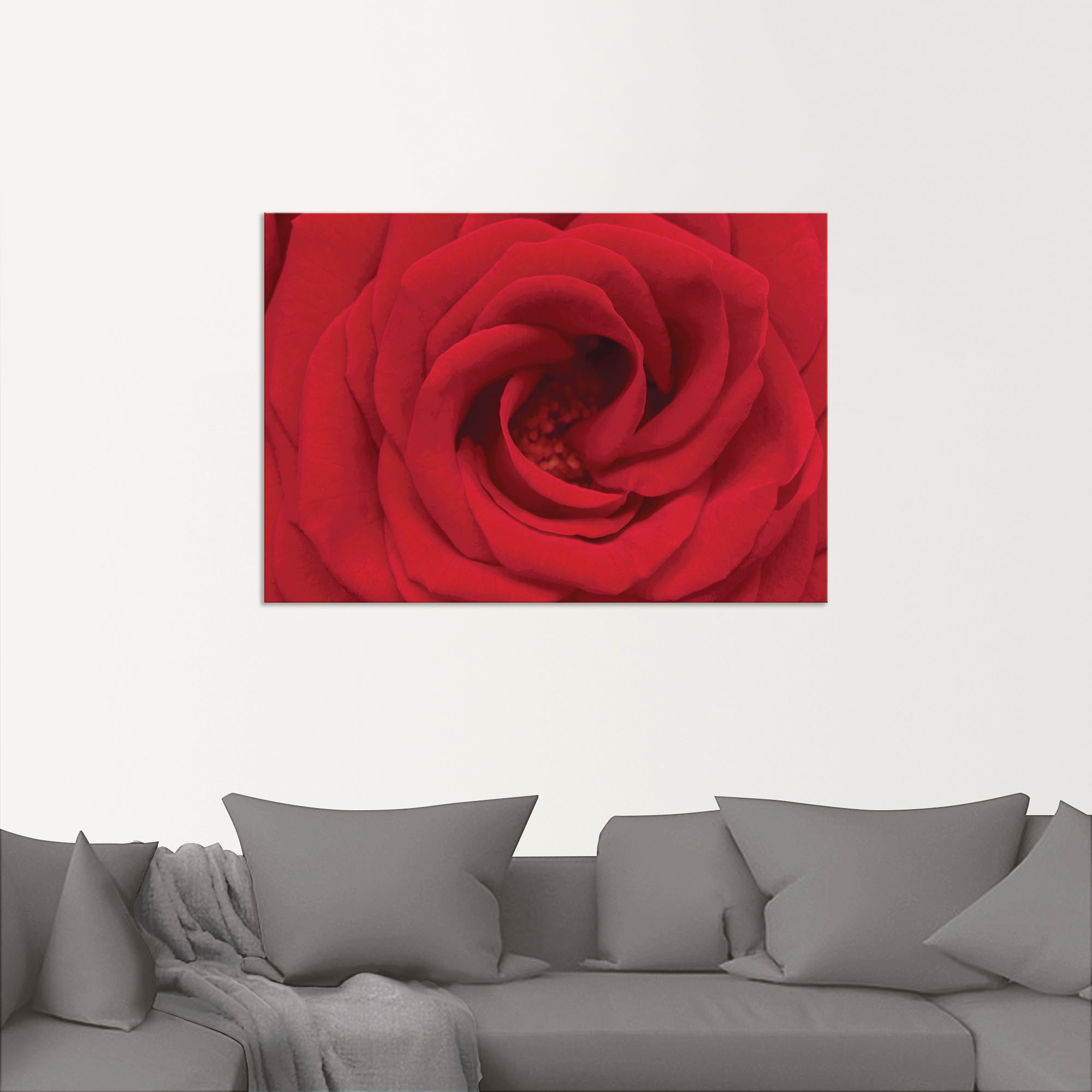 Artland Wandbild »Rote Rose«, Blumen, (1 St.), als Alubild, Outdoorbild, Leinwandbild in verschied. Größen
