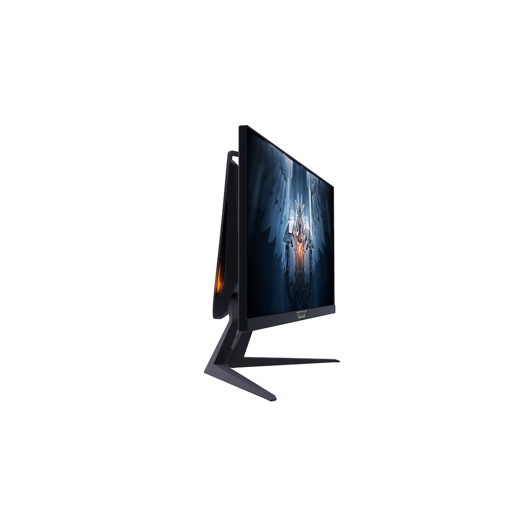 Gigabyte Gaming-Monitor »AORUS FI25F«, 62,2 cm/24,5 Zoll, 1920 x 1080 px, Full HD, 4 ms Reaktionszeit, 240 Hz, Energiesparmoduns 0,5 Watt, Standy-Modus 0,3 Watt