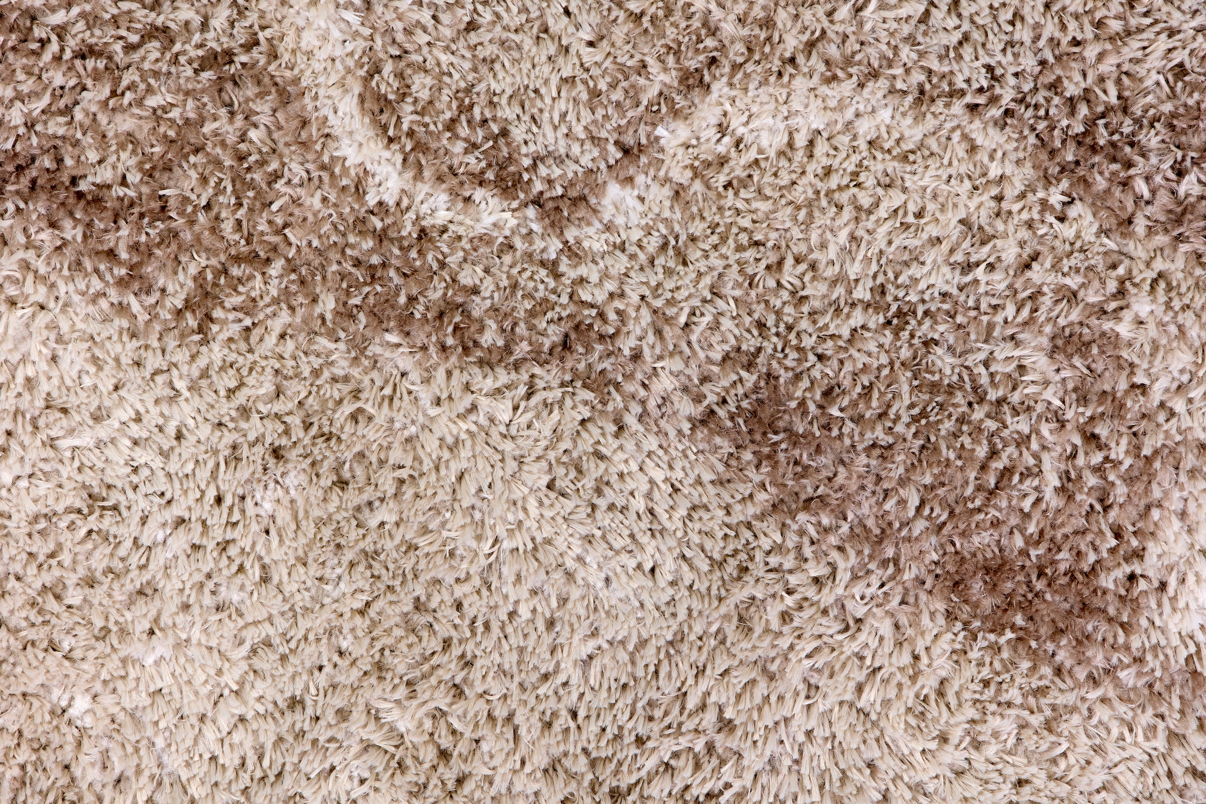ASTRA Hochflor-Teppich »Paulie 251«, rechteckig, 25 mm Höhe, Langflor, Shaggy, Wohnzimmer, Schlafzimmer