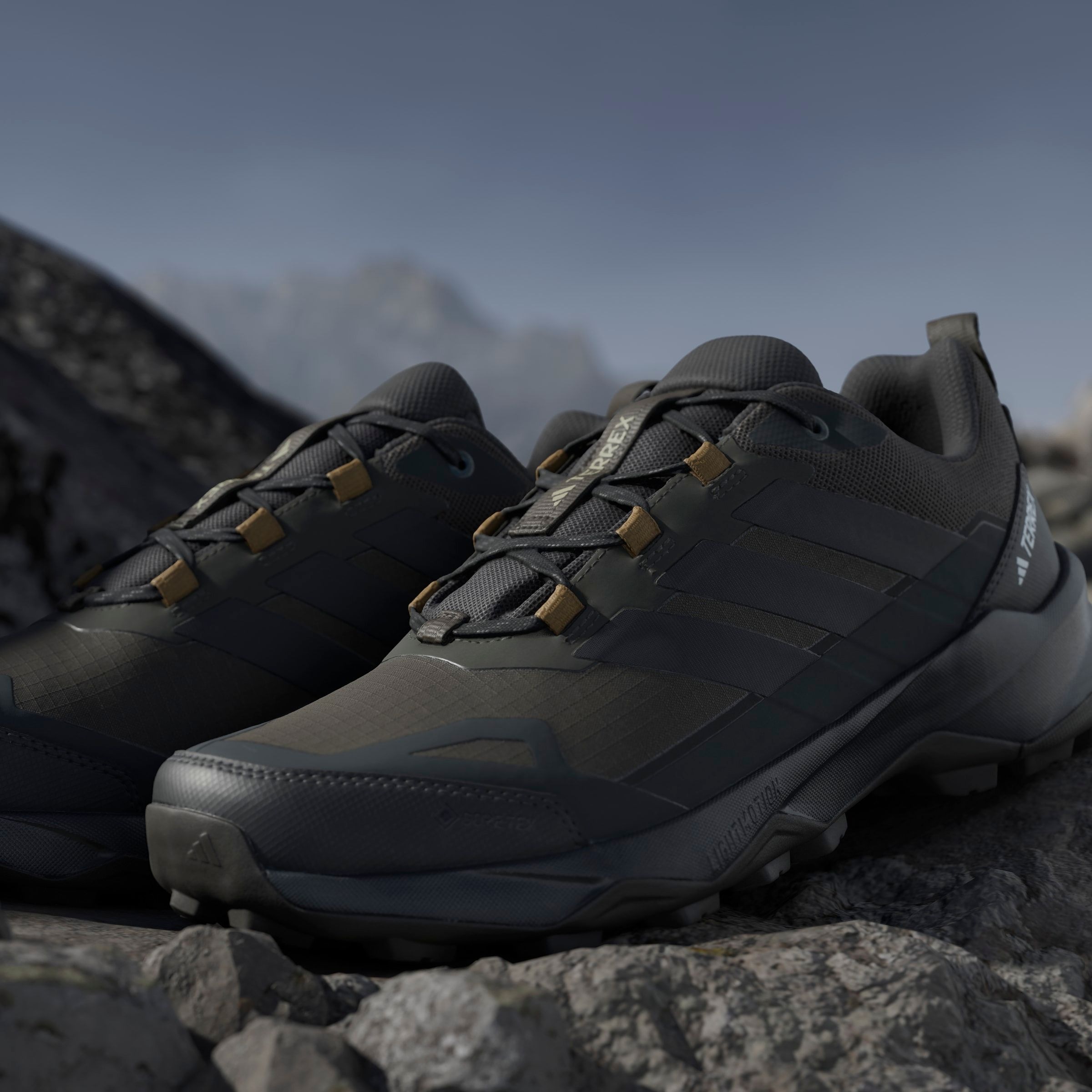 adidas TERREX Wanderschuh »TERREX SKYCHASER AX5 GORE-TEX«, wasserdicht