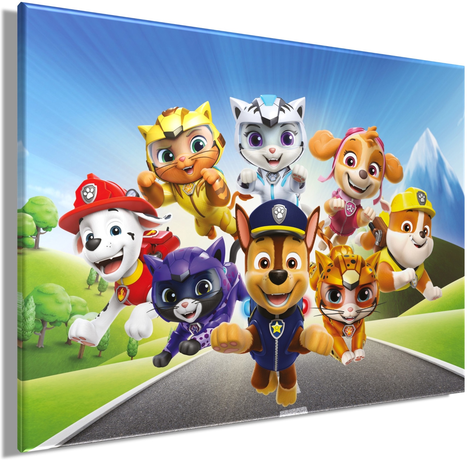 Bönninghoff Leinwandbild »Wandbild CAT PACK PAW PATROL 46x61 cm – Leinwandbild Keilrahmen Deko« Hunde | Katzen | Paw Patrol | Serien | Tiere 1 Stk. tlg. auf Keilrahmen gespannt