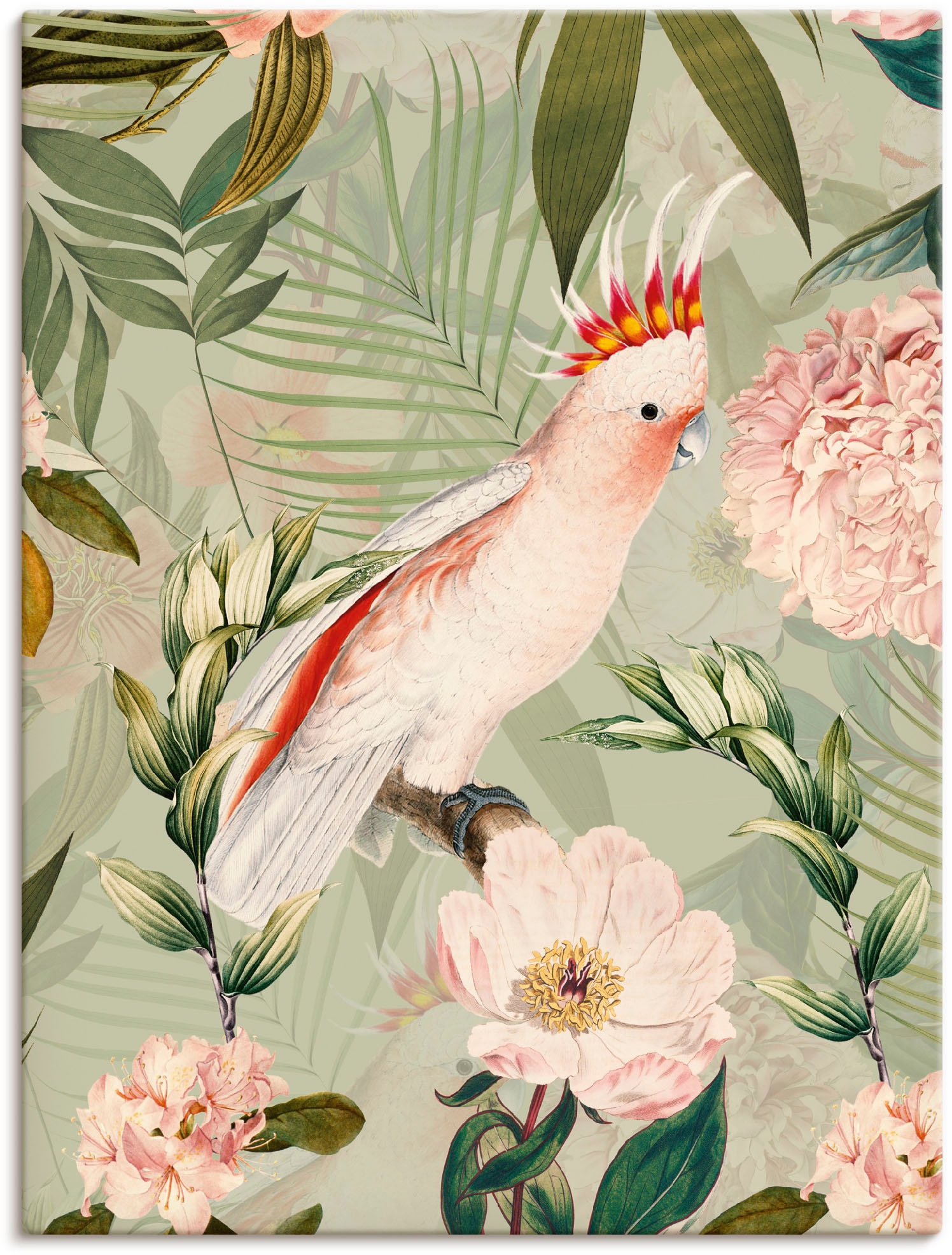 als Papagei«, (1 Leinwandbild, | Alubild, St.), Vogelbilder, Poster Wandbild oder Wandaufkleber in versch. »Vintage BAUR bestellen Größen Artland