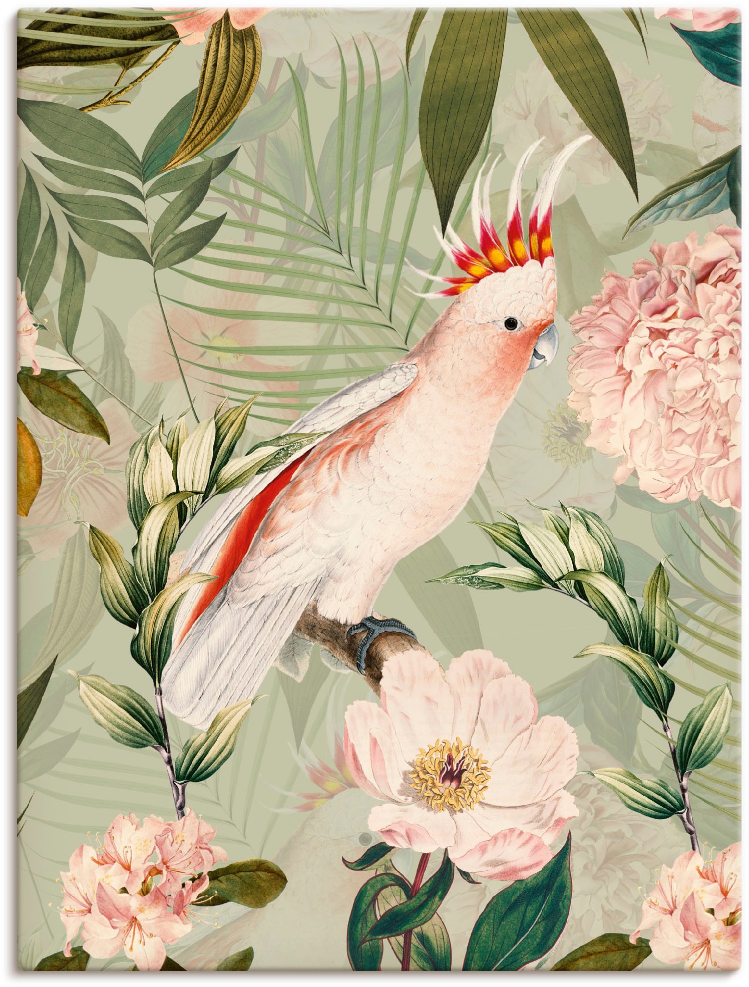 Artland Wandbild "Vintage Papagei" Vogelbilder 1 Stk. tlg. als Leinwandbild, Poster in verschied. Größen