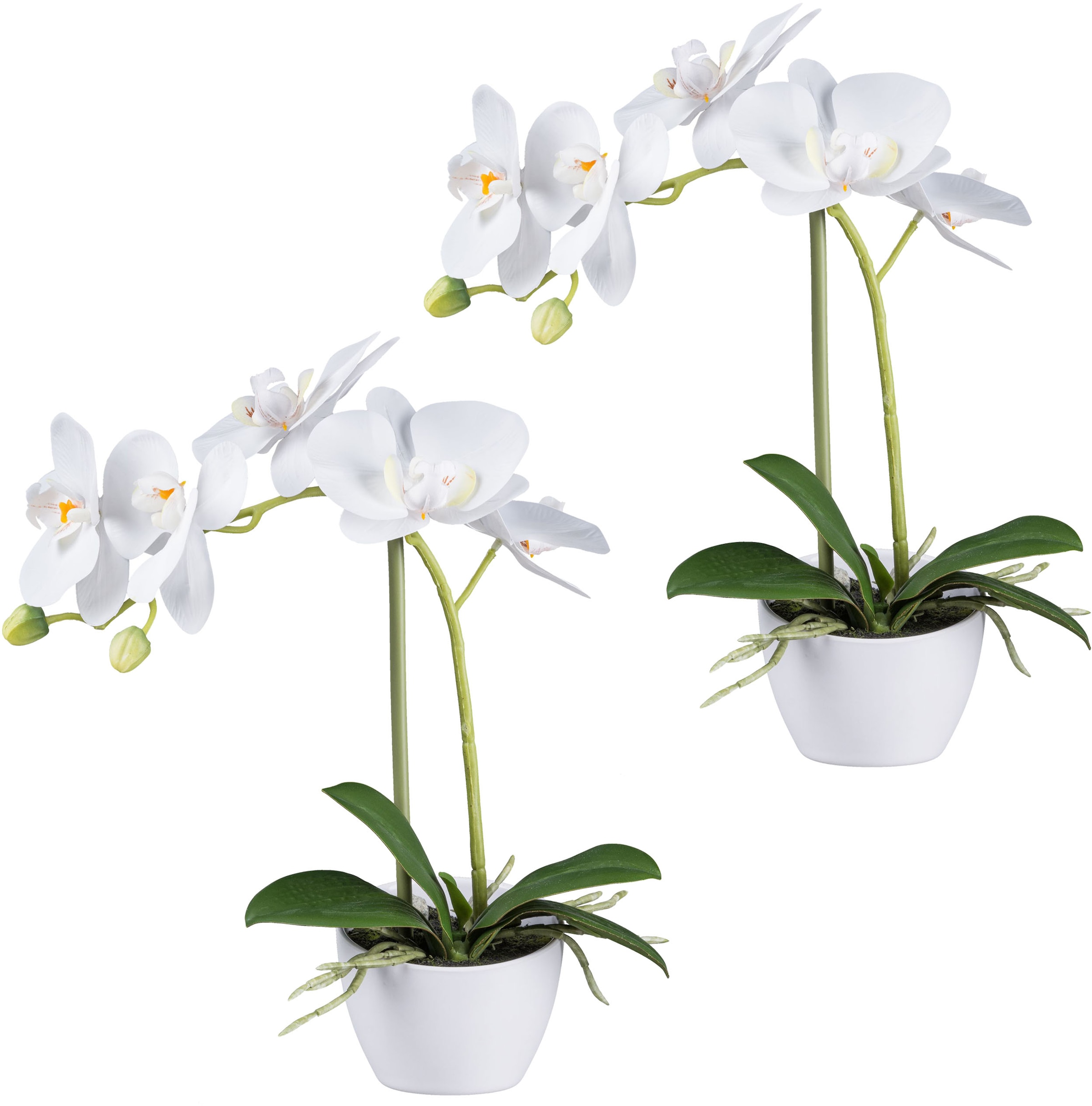 Kunstorchidee »Orchidee Phalaenopsis«, im weißen Design-Topf