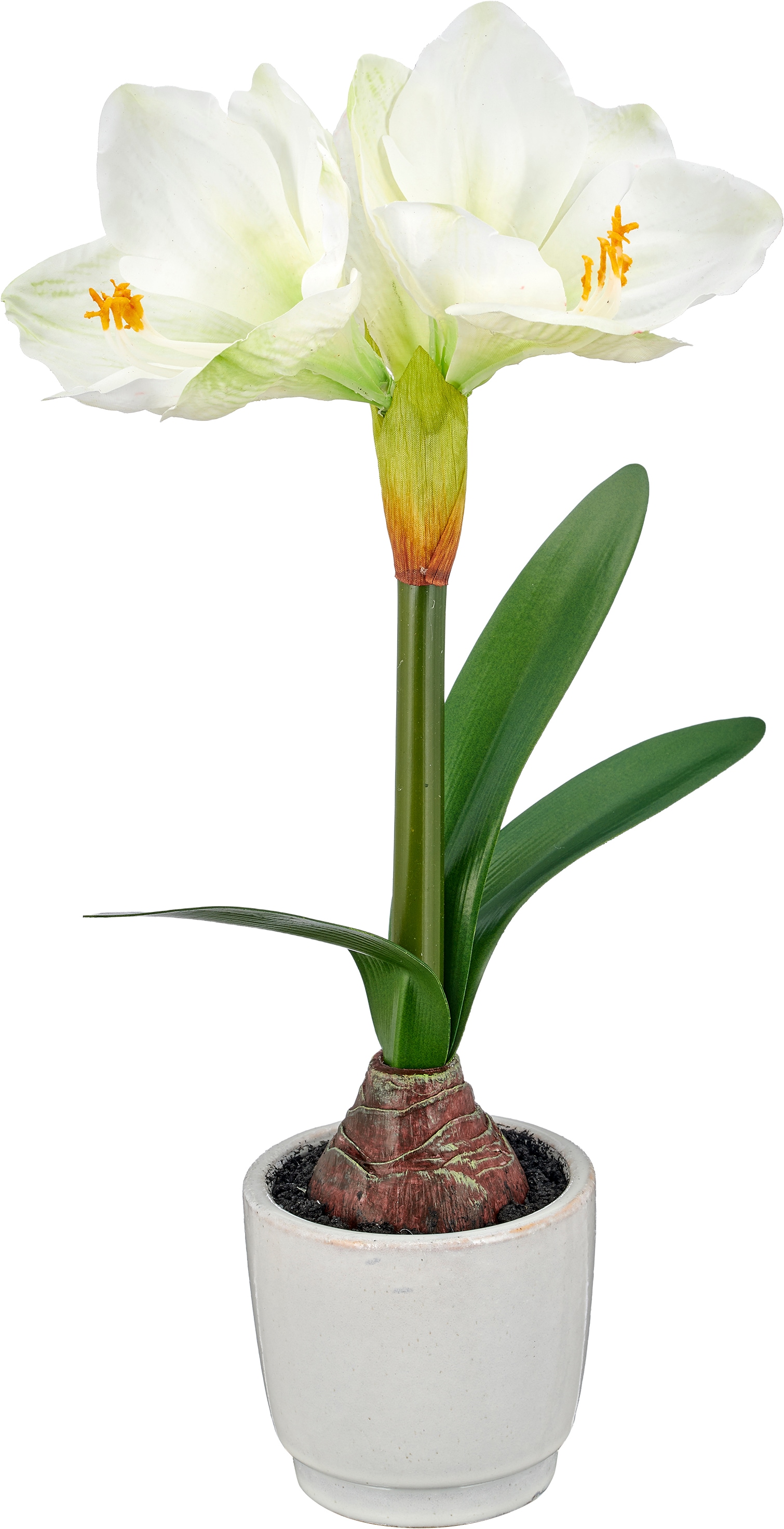 OTTO home Winterliche Kunstpflanze "Amaryllis" mit naturgetreuen Blüten