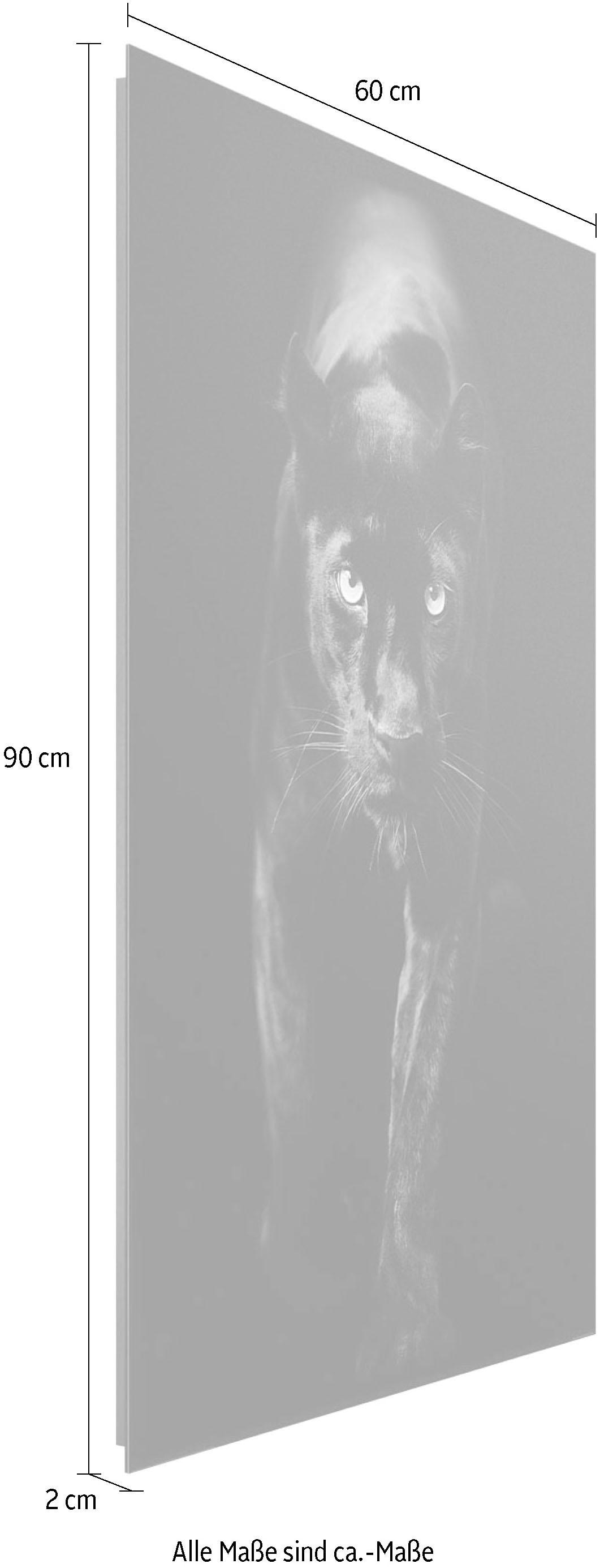 Reinders! Deco-Panel »Schwarzer Panther« bestellen | BAUR | Kunstdrucke