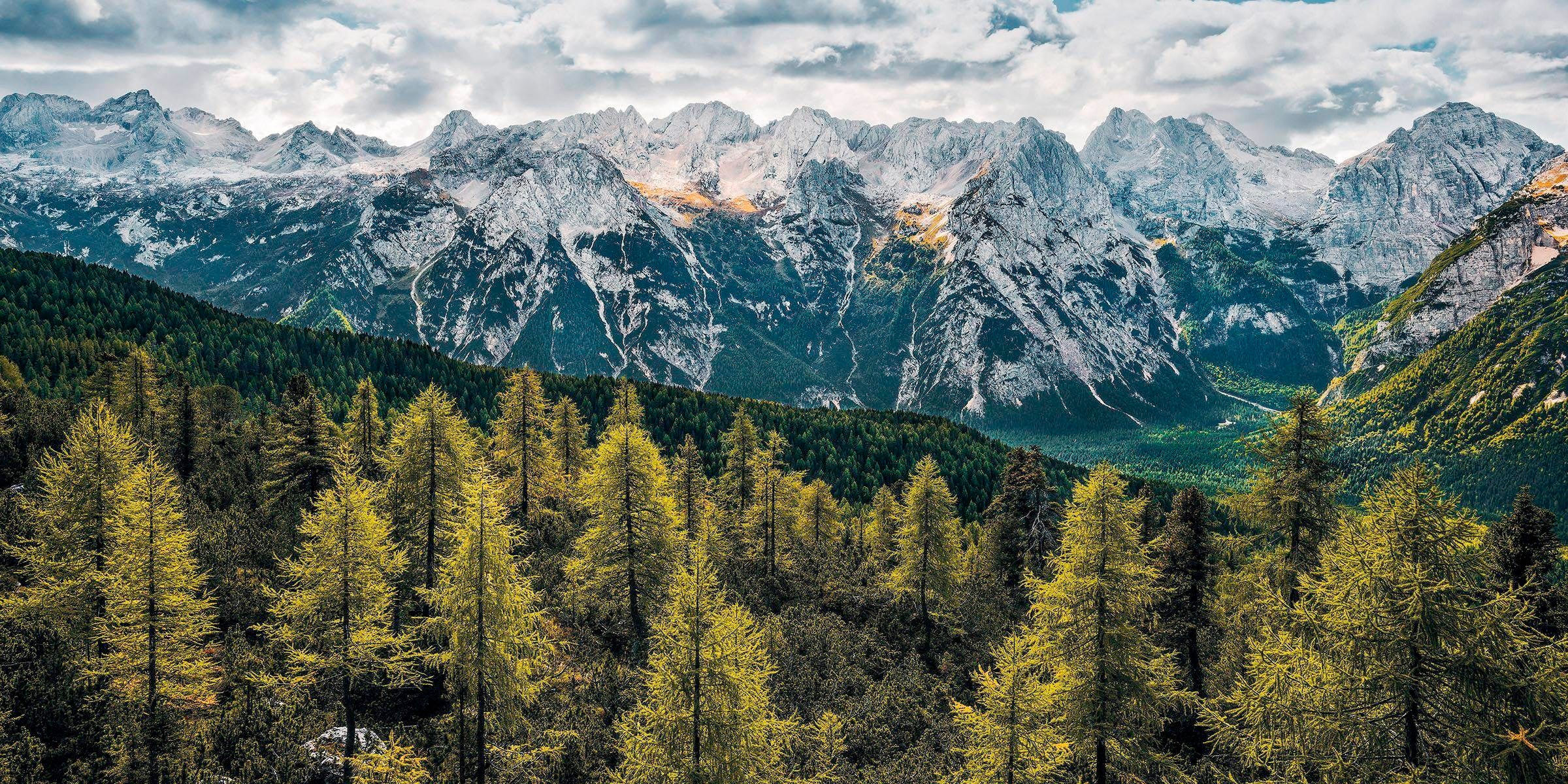 Komar Vliestapete »Wild cm x 100 | Vliestapete, Bahnbreite (Breite günstig Höhe), 200x100 BAUR cm Dolomites«