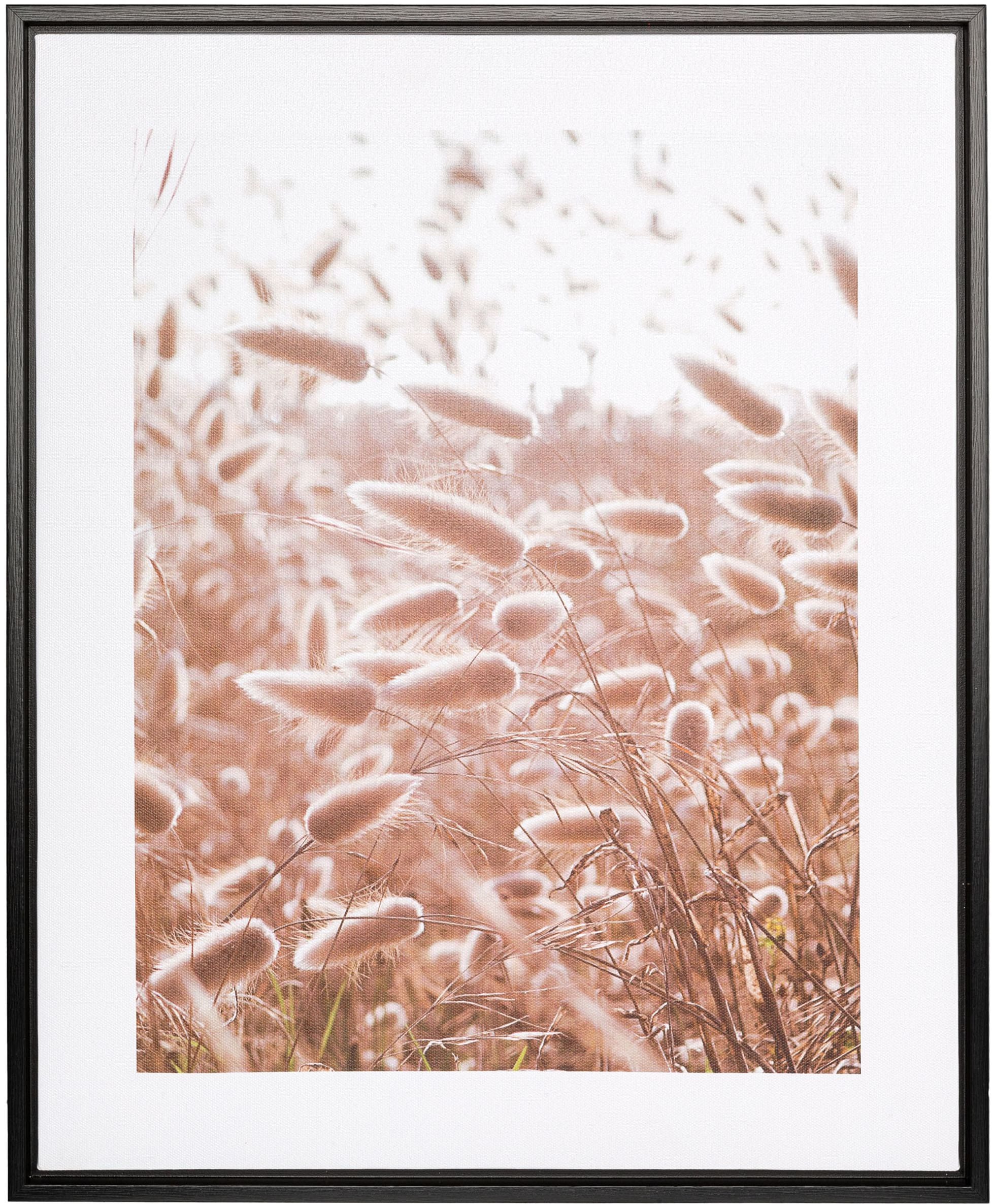 Creativ home Bild mit Rahmen »Schilf«, (2 St.), auf Canvas-Leinwand