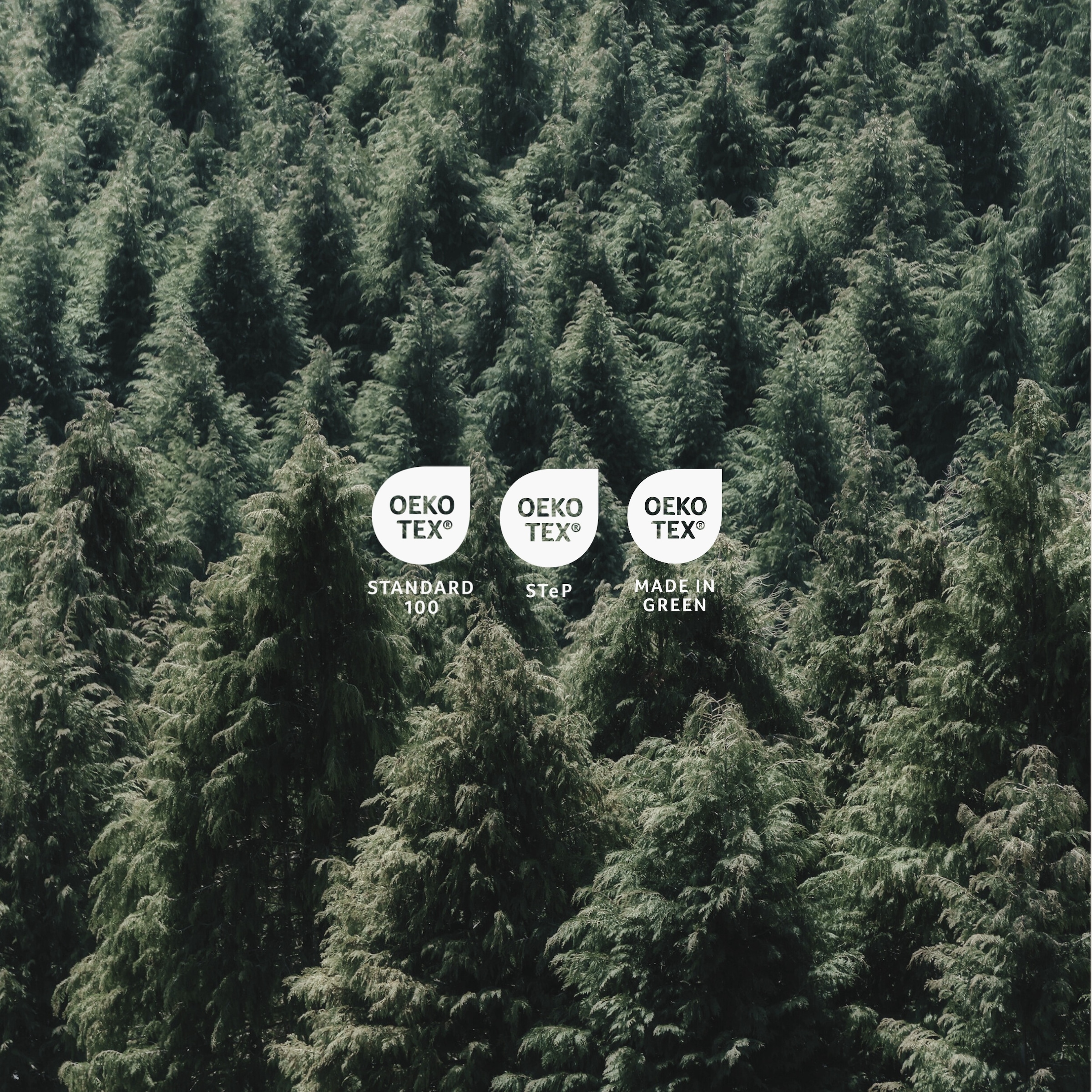 uncover by SCHIESSER Bettwäsche »Punto aus edlem Baumwollsatin, 135x200cm + 80x80cm«, Made in Green
