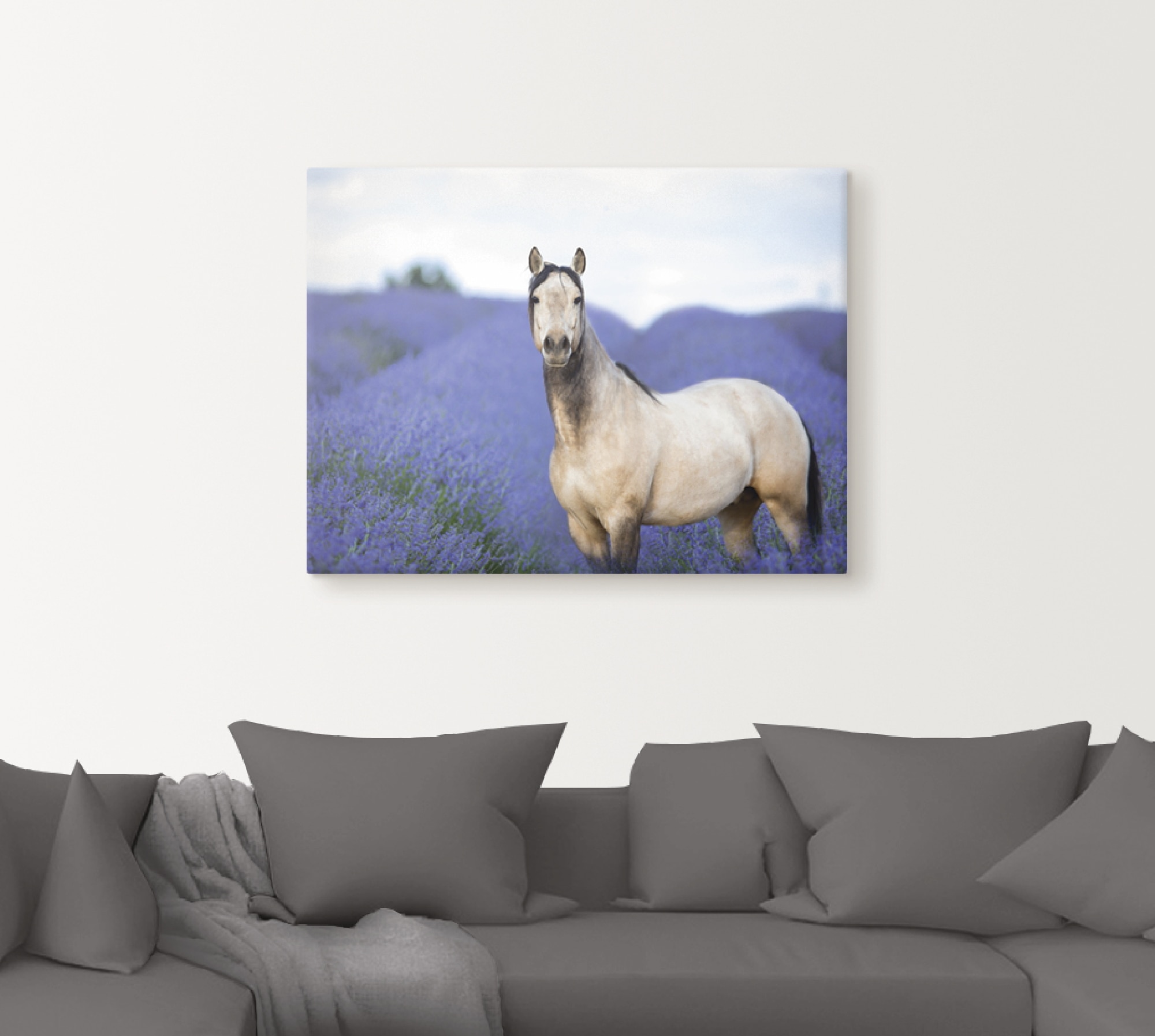Artland Wandbild »Pferd und Blumen III«, Haustiere, (1 St.), als Leinwandbild, Poster in verschied. Größen