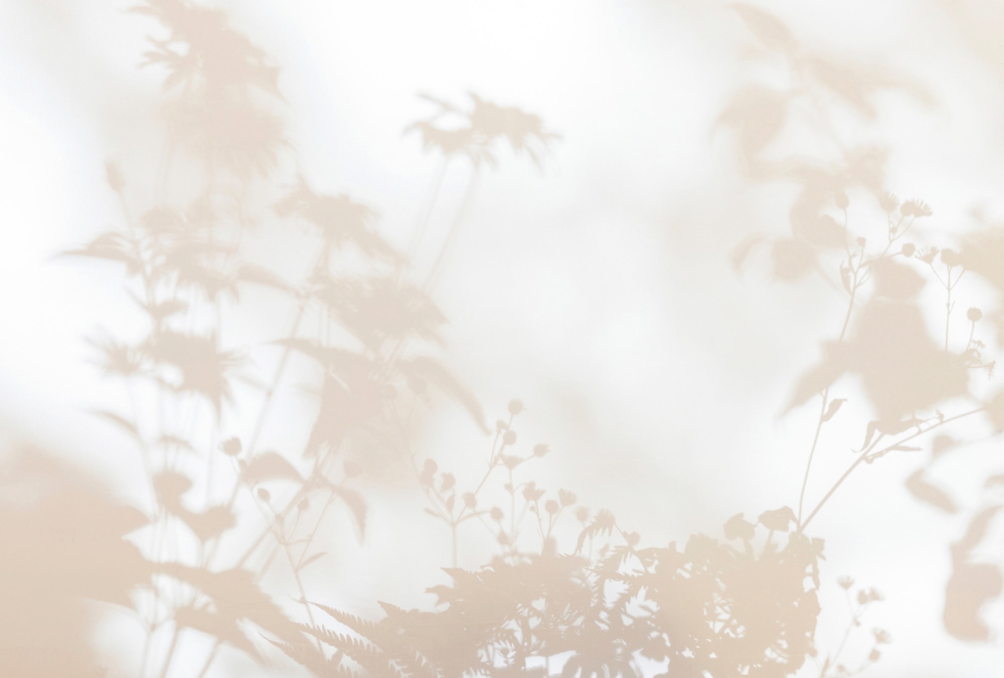 living walls Fototapete "Walls by Patel Shadow Room" glatt Vlies, Wand günstig online kaufen