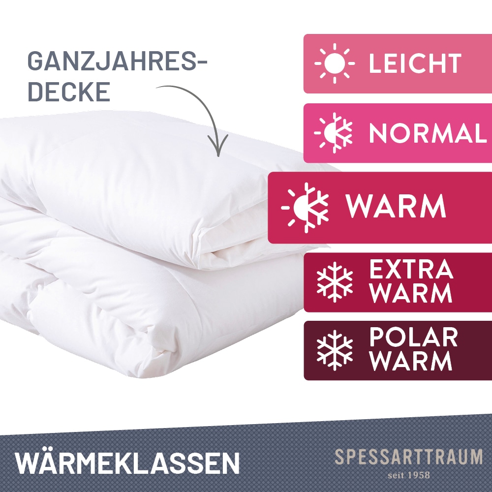 SPESSARTTRAUM Daunenbettdecke + Federkissen »First Class«, (Spar-Set), Sparset: 5 Wärmeklassen, 135x200 cm & 155x220 cm