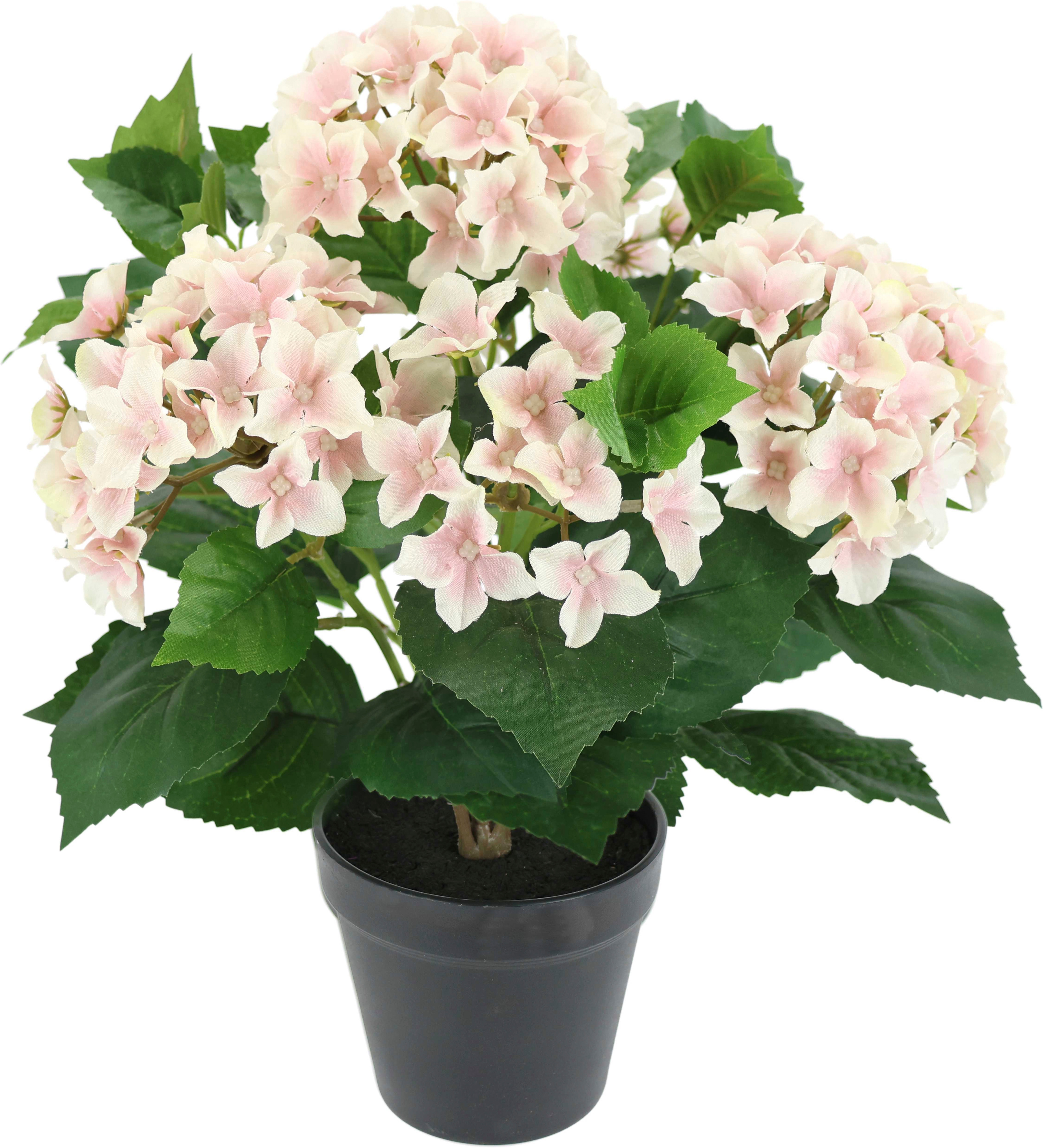 OTTO home Kunstblume "Künstliche Hortensie im Topf" 40cm Realistische Kunstpflanze Blumen Deko Blumen Pflanzen