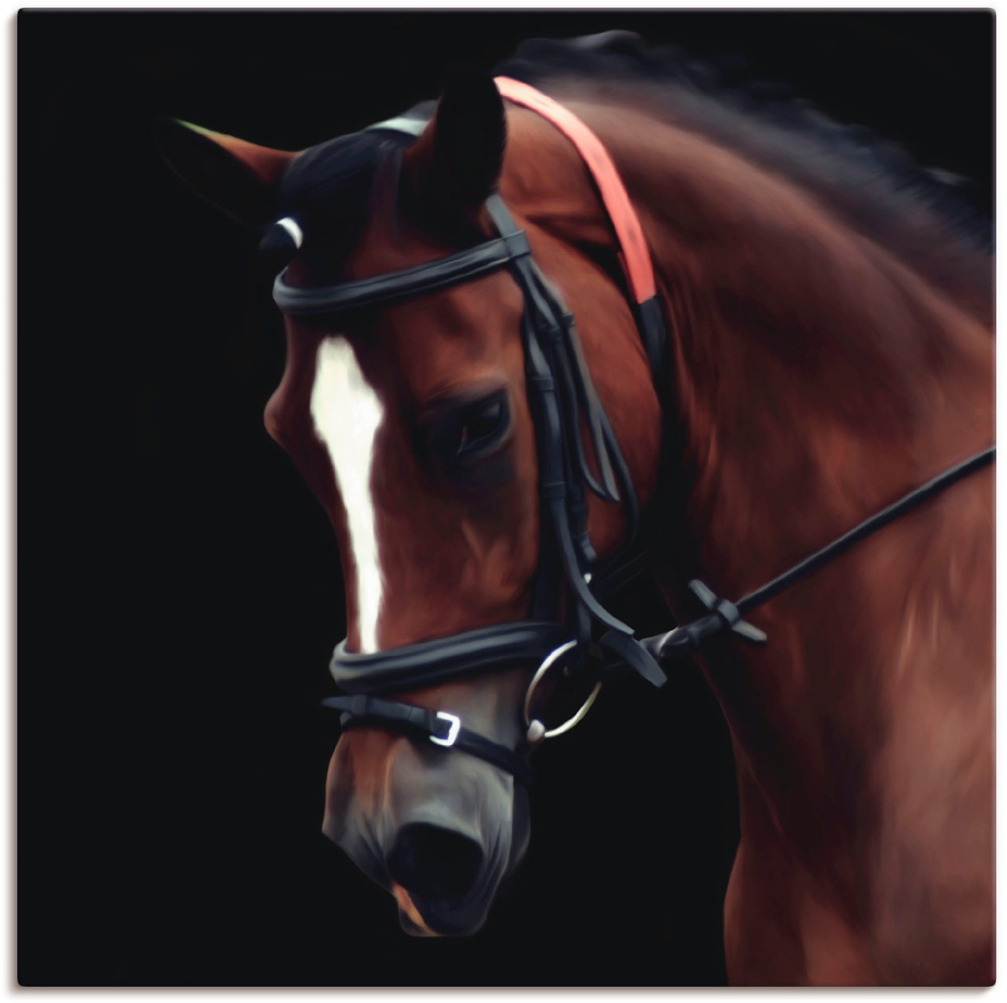 Artland Leinwandbild "Dressur Pferd", Haustiere, (1 St.), auf Keilrahmen gespannt