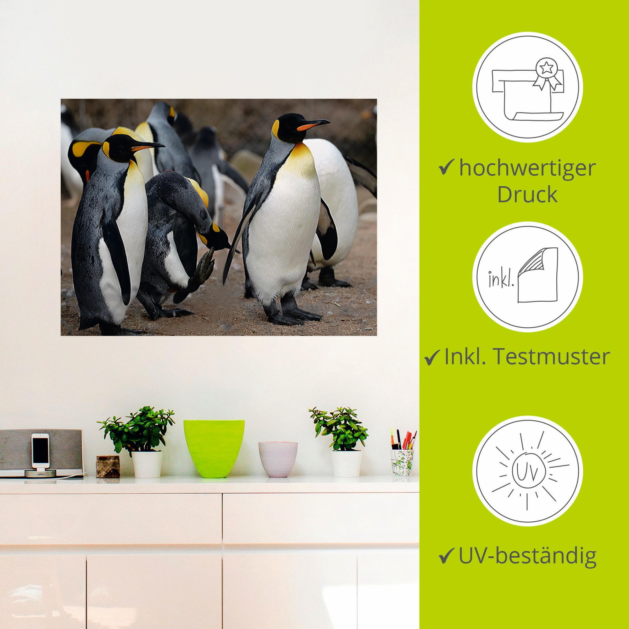 Artland Wandbild »Königspinguin«, Vögel, (1 St.), als Leinwandbild, Wandaufkleber in verschied. Größen