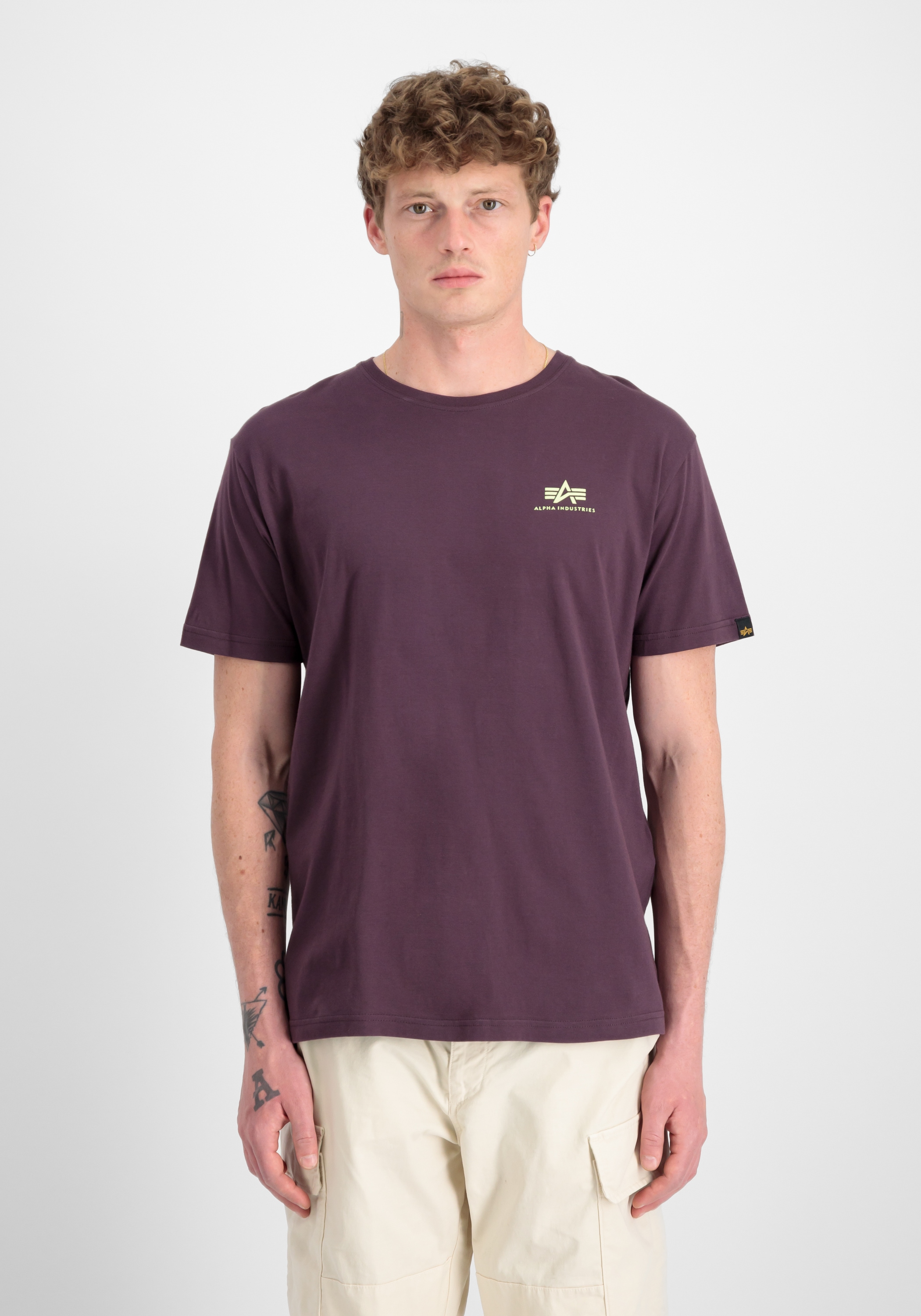 Alpha Industries T-Shirt »Alpha Industries Men - T-Shirts Backprint T«