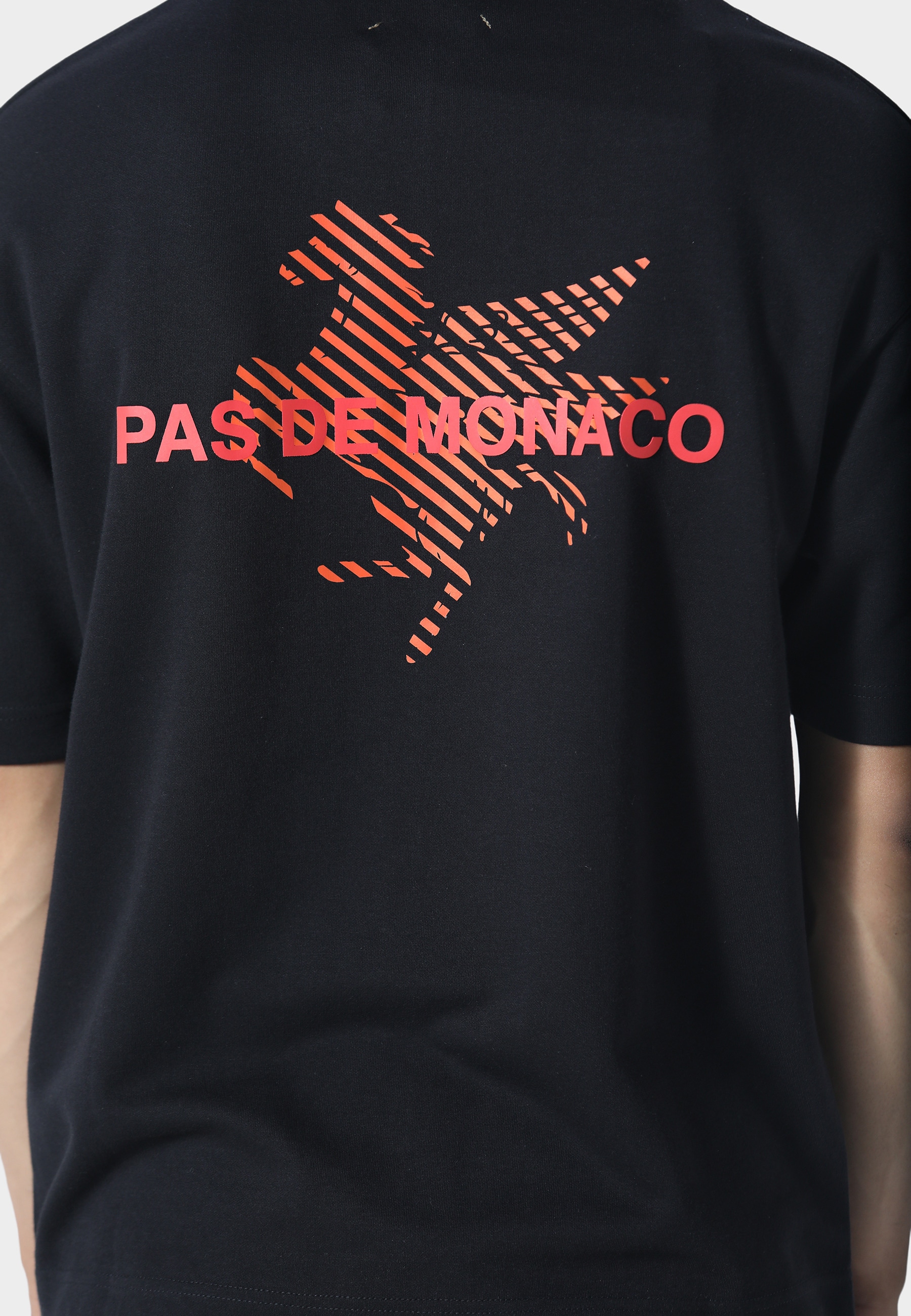 Pas De Monaco T-Shirt »Pas De Monaco LA PEGAUS CHEVRON T-SHIRT« 1