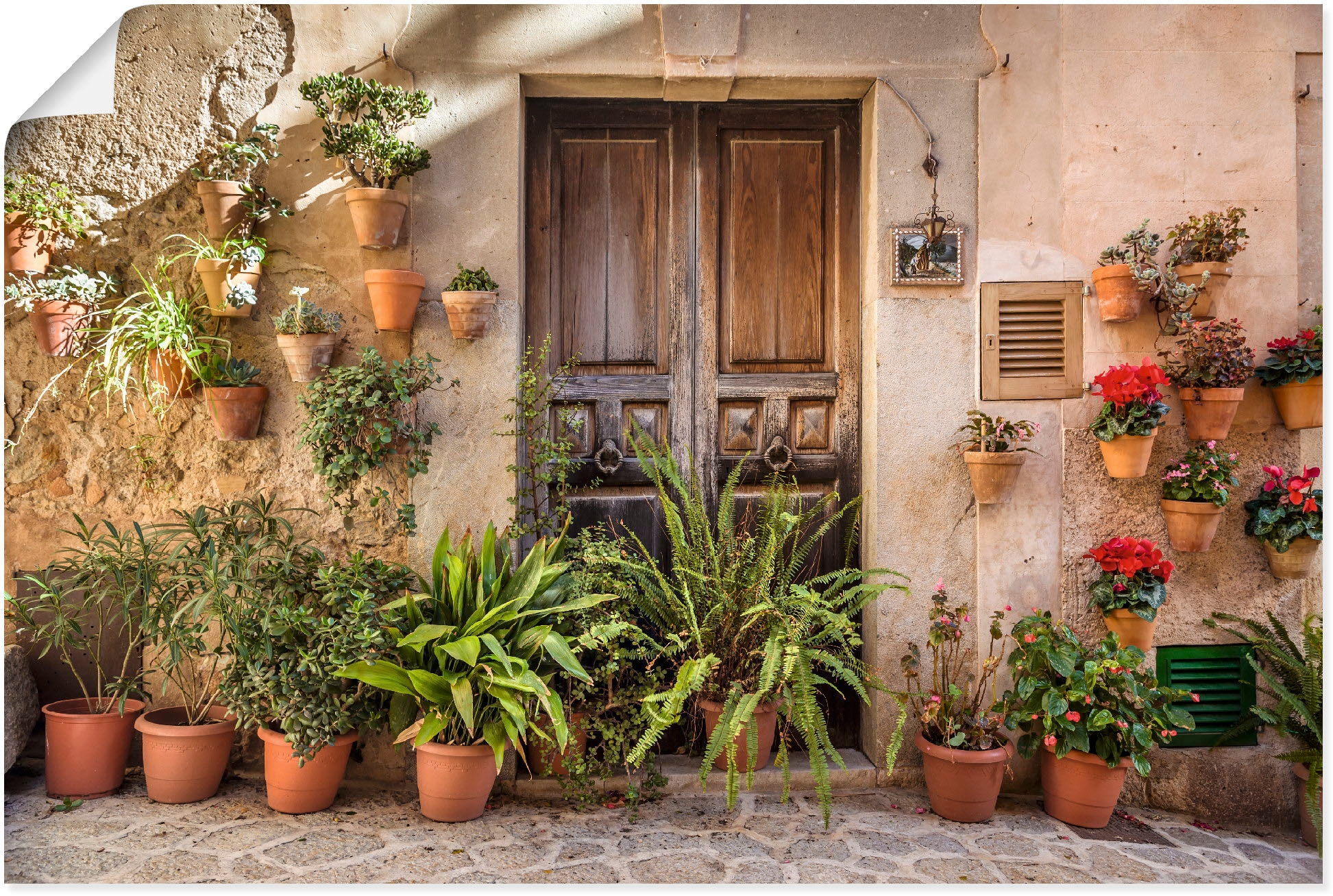 Wandbild »Altstadtgasse Mallorca, Spanien«, Pflanzenbilder, (1 St.), als Alubild,...