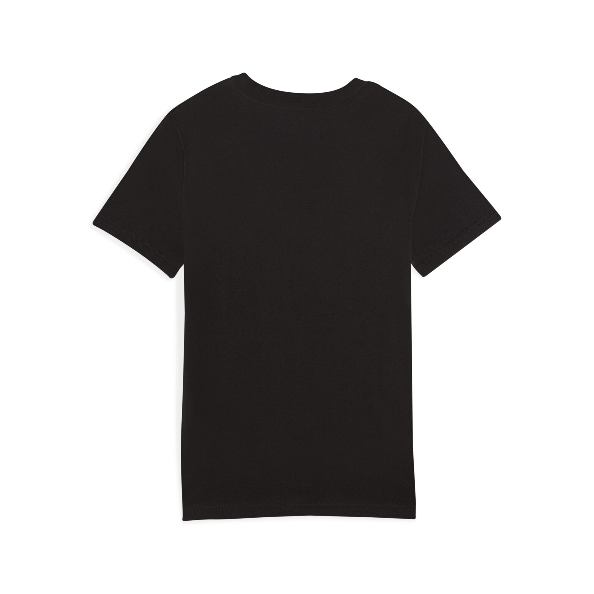 PUMA T-Shirt »Manchester City KING T-Shirt Herren«
