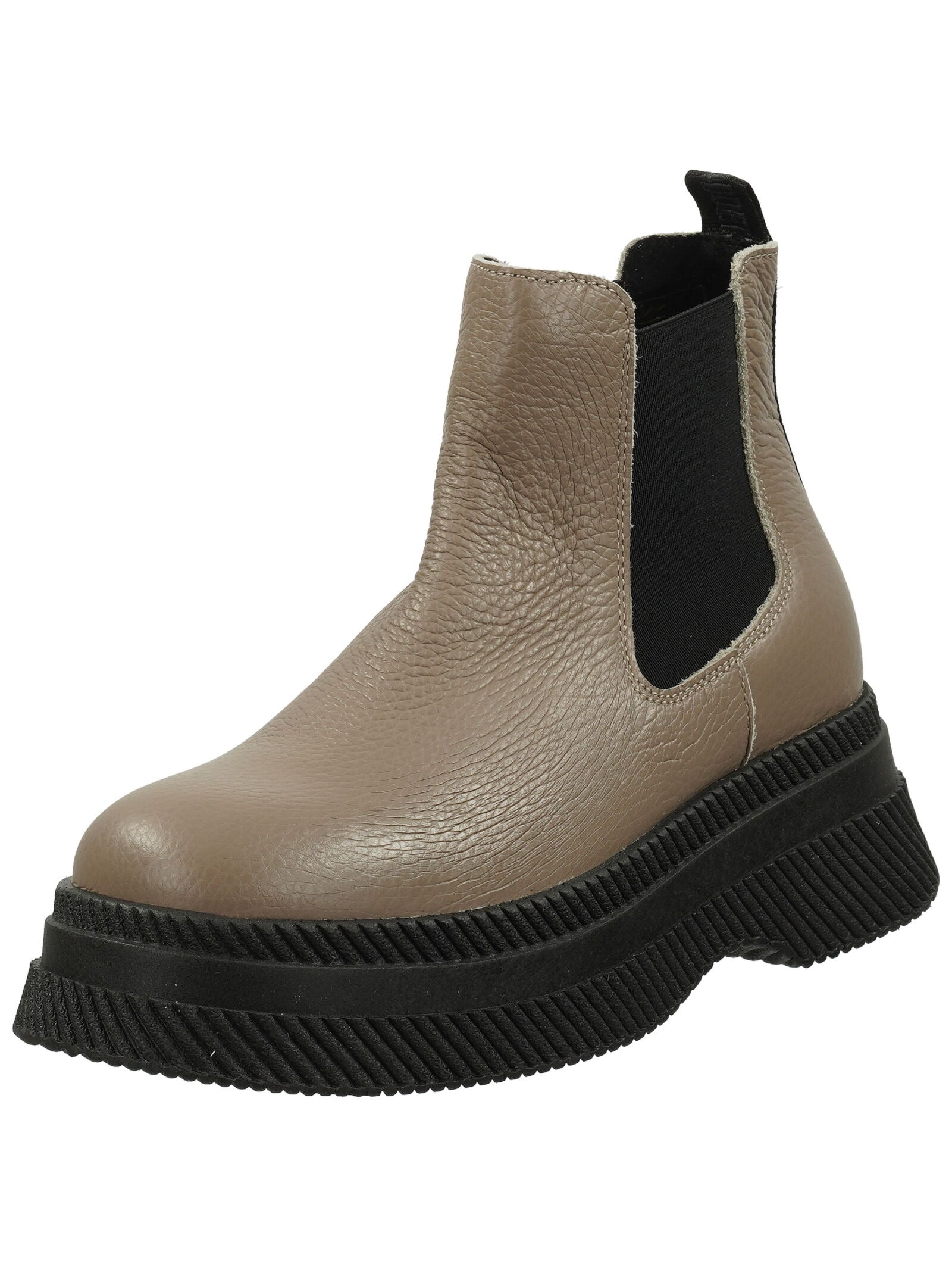 STEVE MADDEN Stiefelette "STEVE MADDEN Stiefelette Leder/Textil" günstig online kaufen