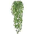Creativ green Kunstranke »Englische Efeuranke«, (1 St.), hängender Efeu, ohne Topf
