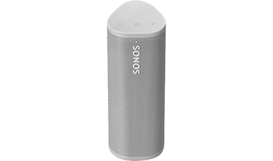 Smart Speaker »Roam SL«, (1 St.)