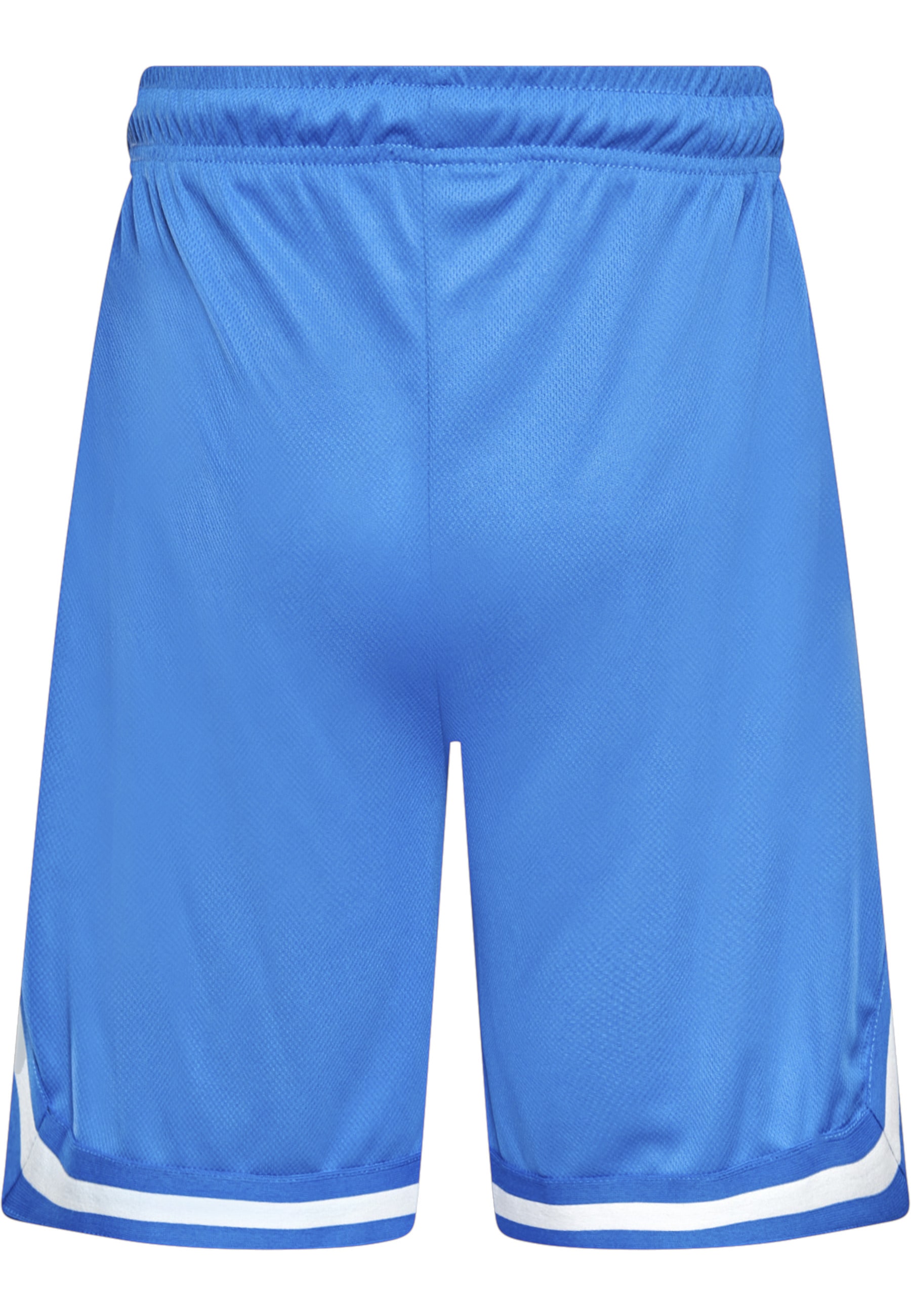 Dropsize »Dropsize Herren Dropsize Logo Mesh Shorts«