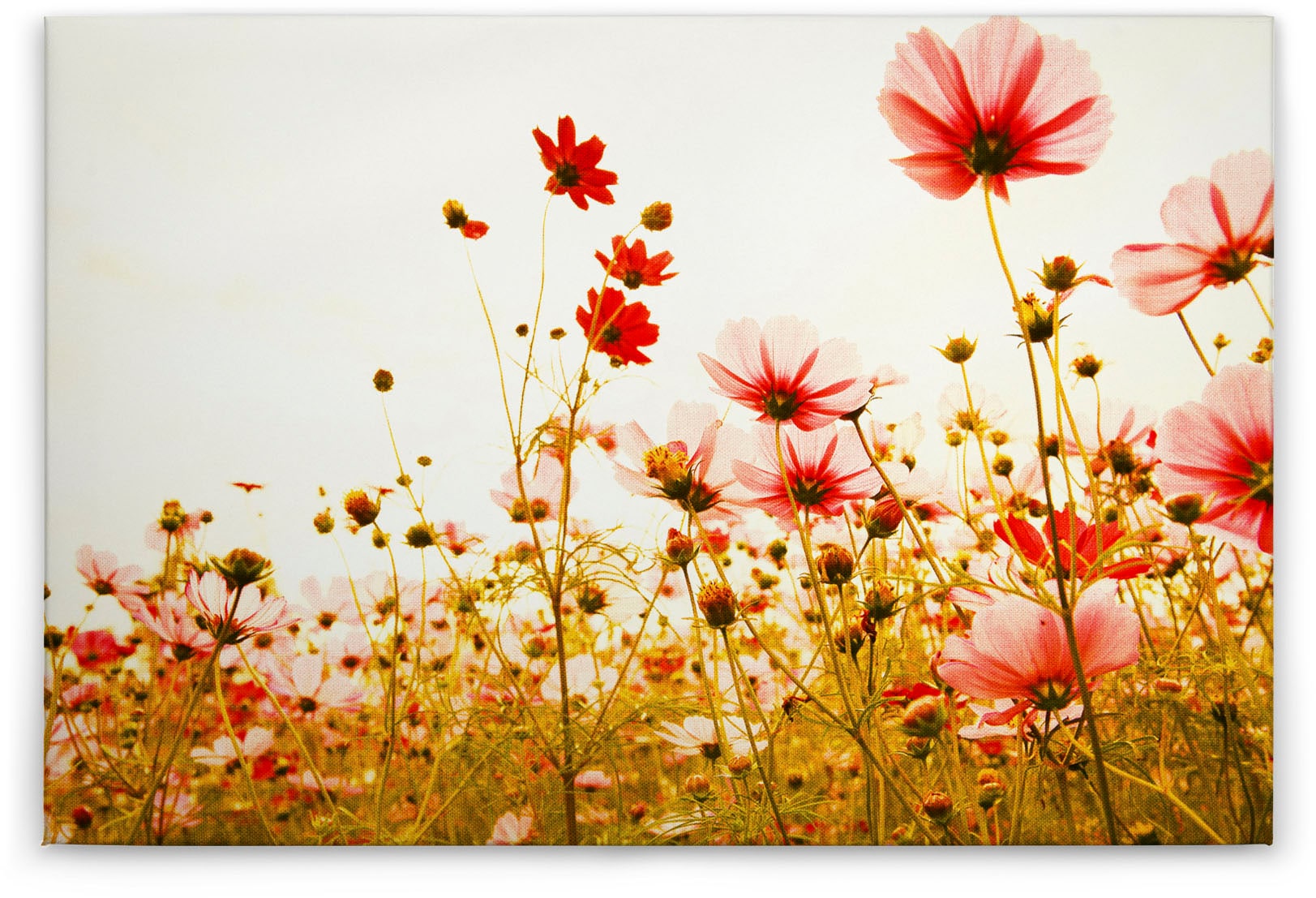 A.S. Création Leinwandbild "Flower Meadow", Kunst-Blumen-Kinder, (1 St.), M günstig online kaufen