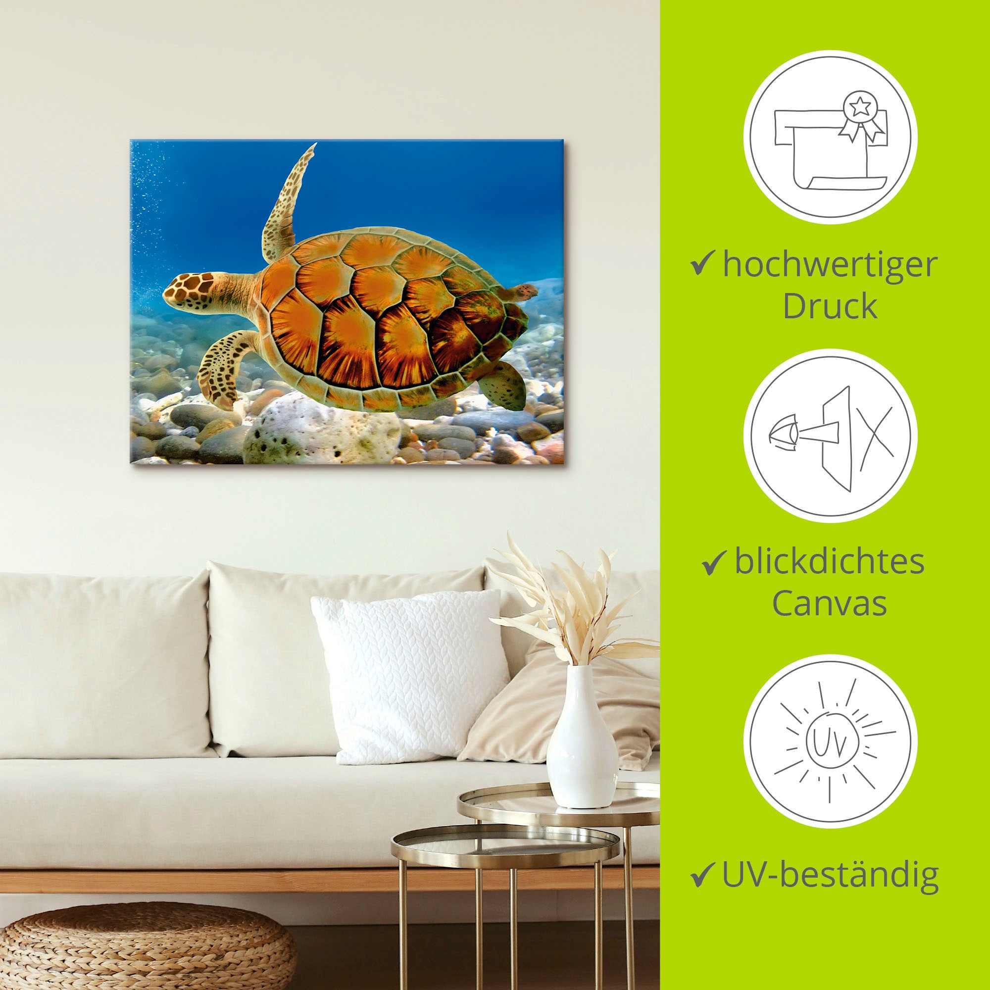 Artland Wandbild »Schildkröte«, Wassertiere, (1 St.), als Leinwandbild, Poster, Wandaufkleber in verschied. Größen