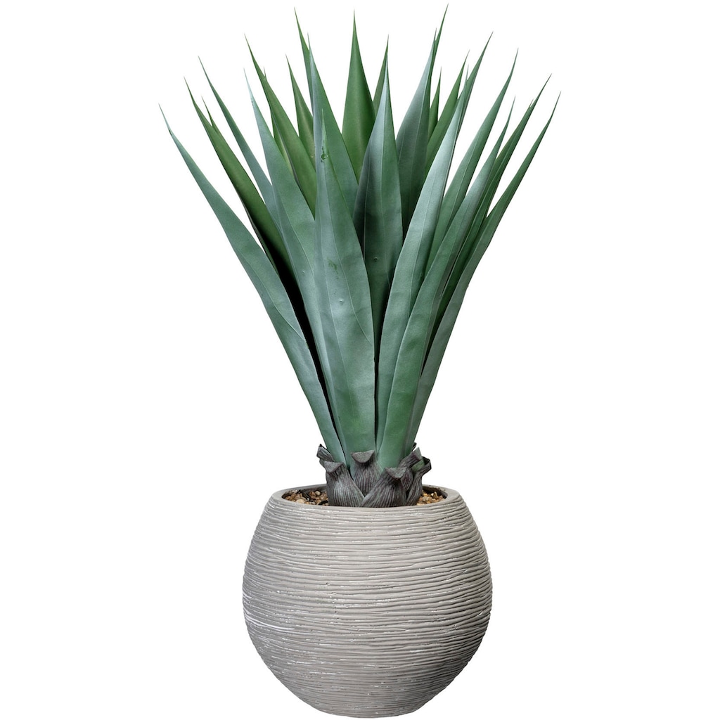 Creativ green Künstliche Zimmerpflanze »Agave«, im Zementtopf