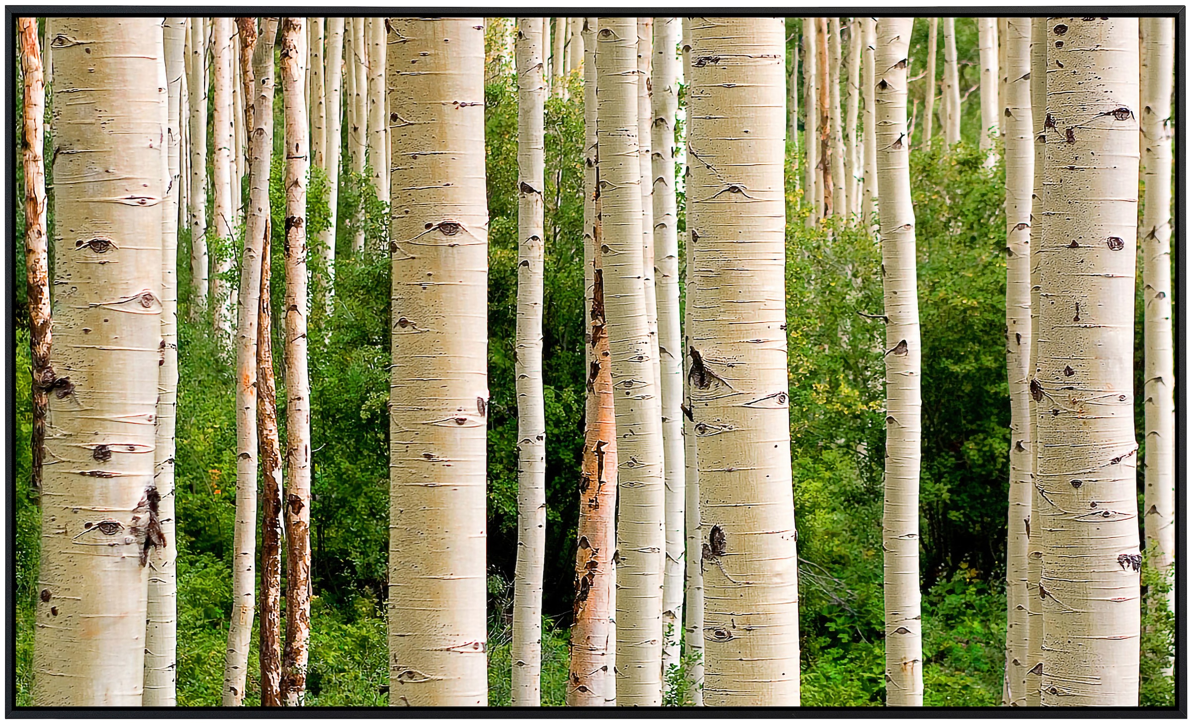Papermoon Infrarotheizung »Aspen Woods im Sommer«, sehr angenehme Strahlungswärme