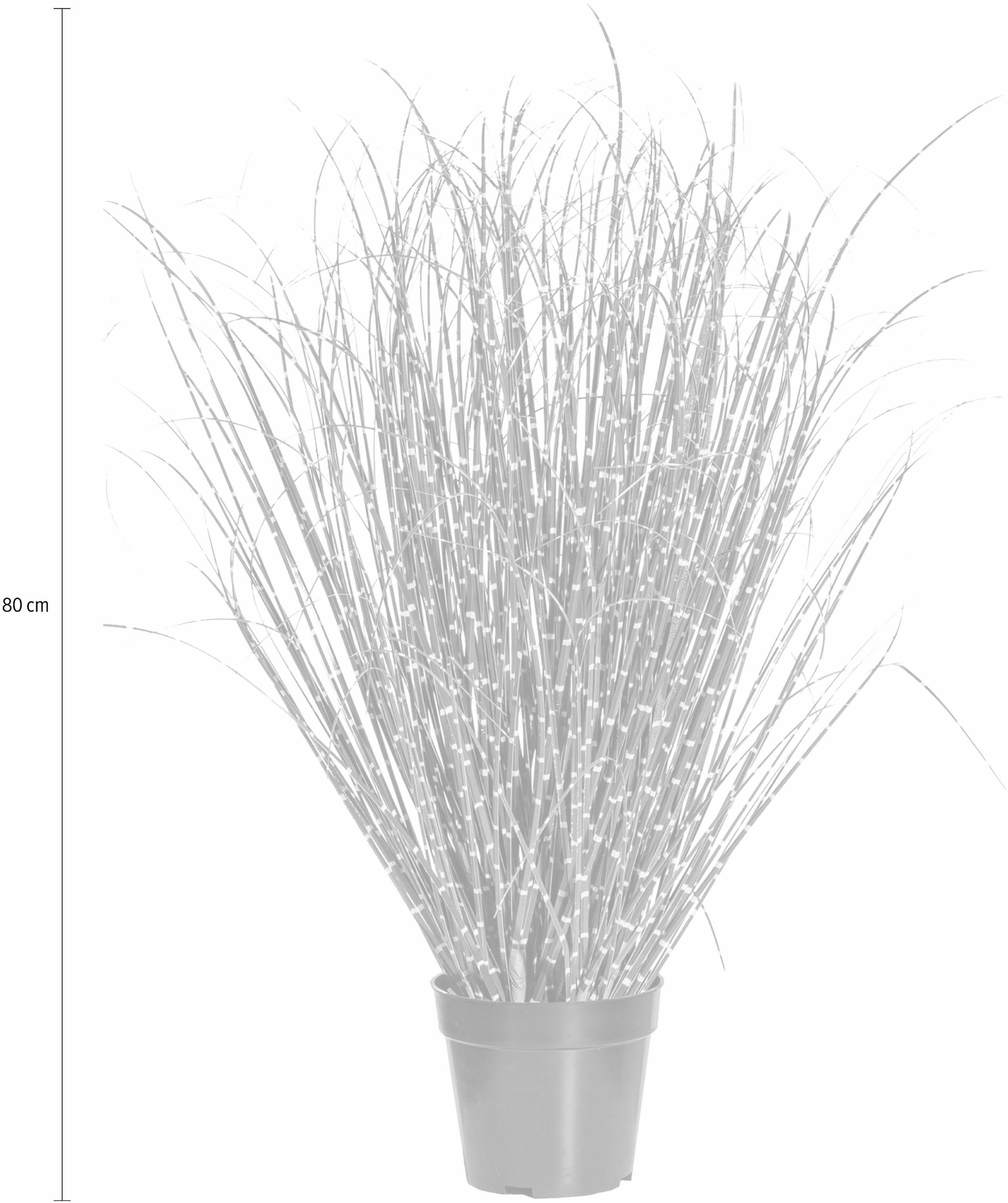 Creativ green Kunstgras »Miscanthus Zebrinus«