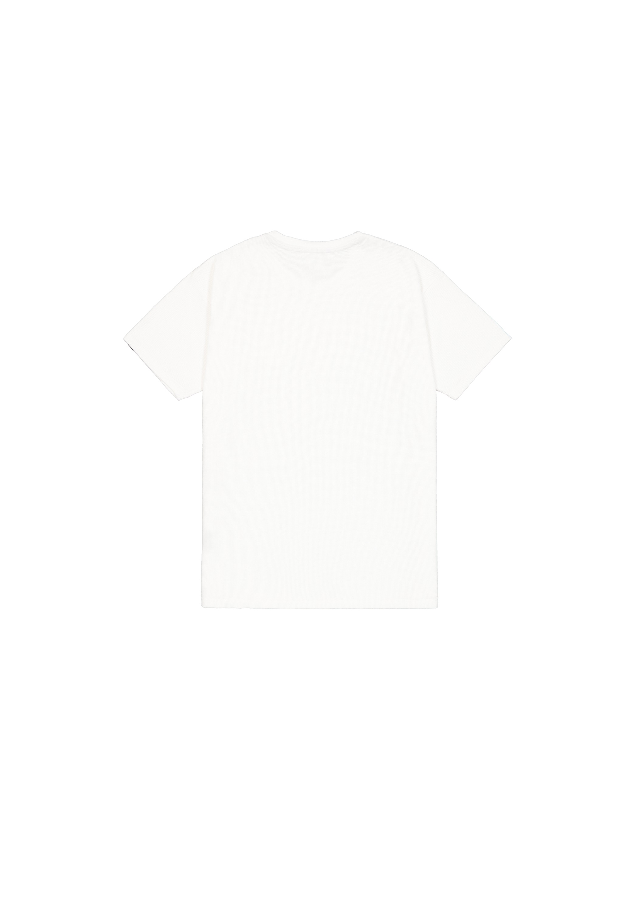 Alpha Industries T-Shirt »Logo Airborn T-Shirt«